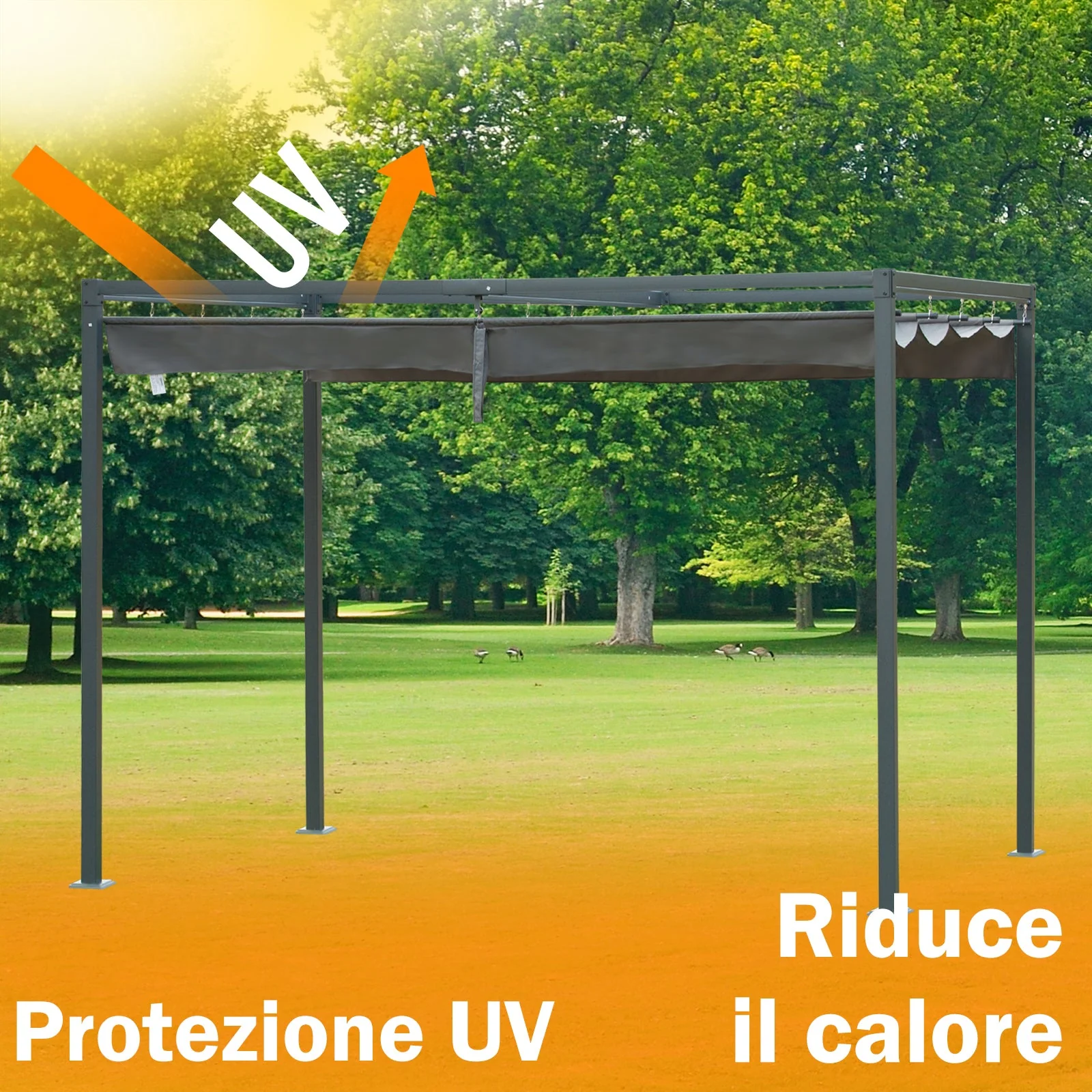 Immagine prodotto 7