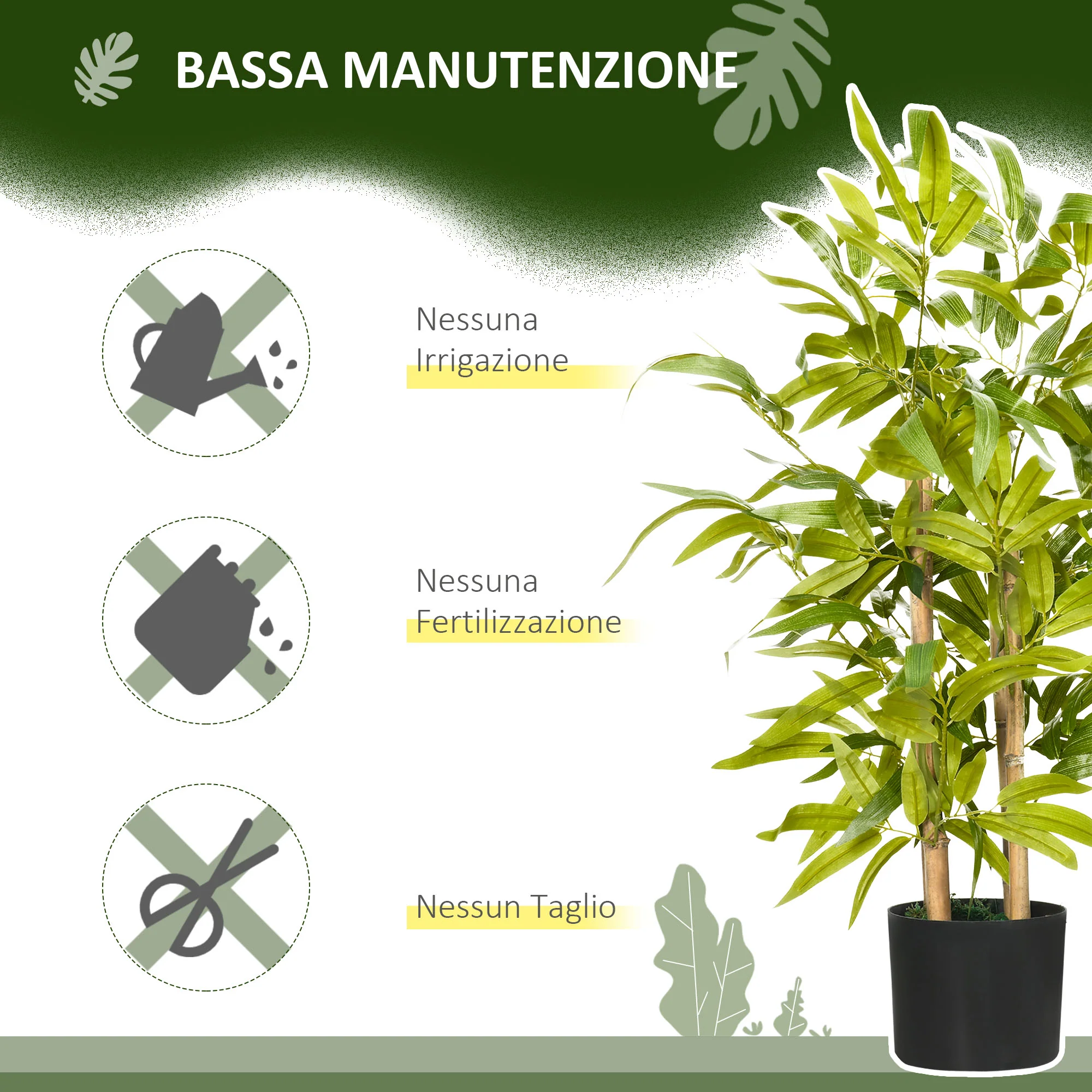 Immagine prodotto 6