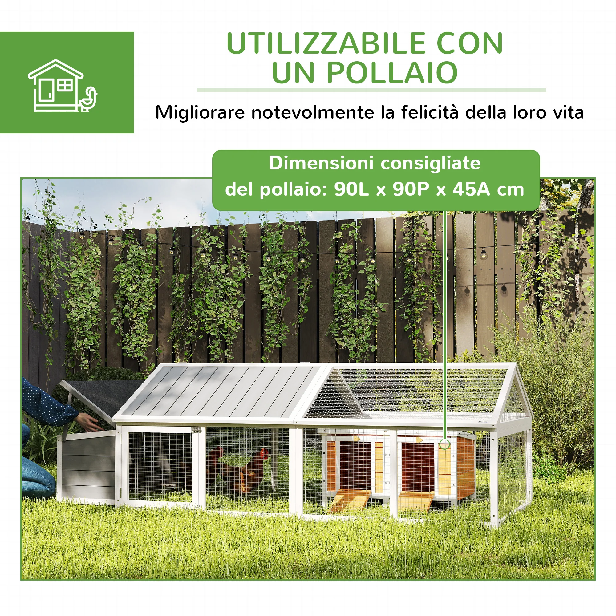 Immagine prodotto 6