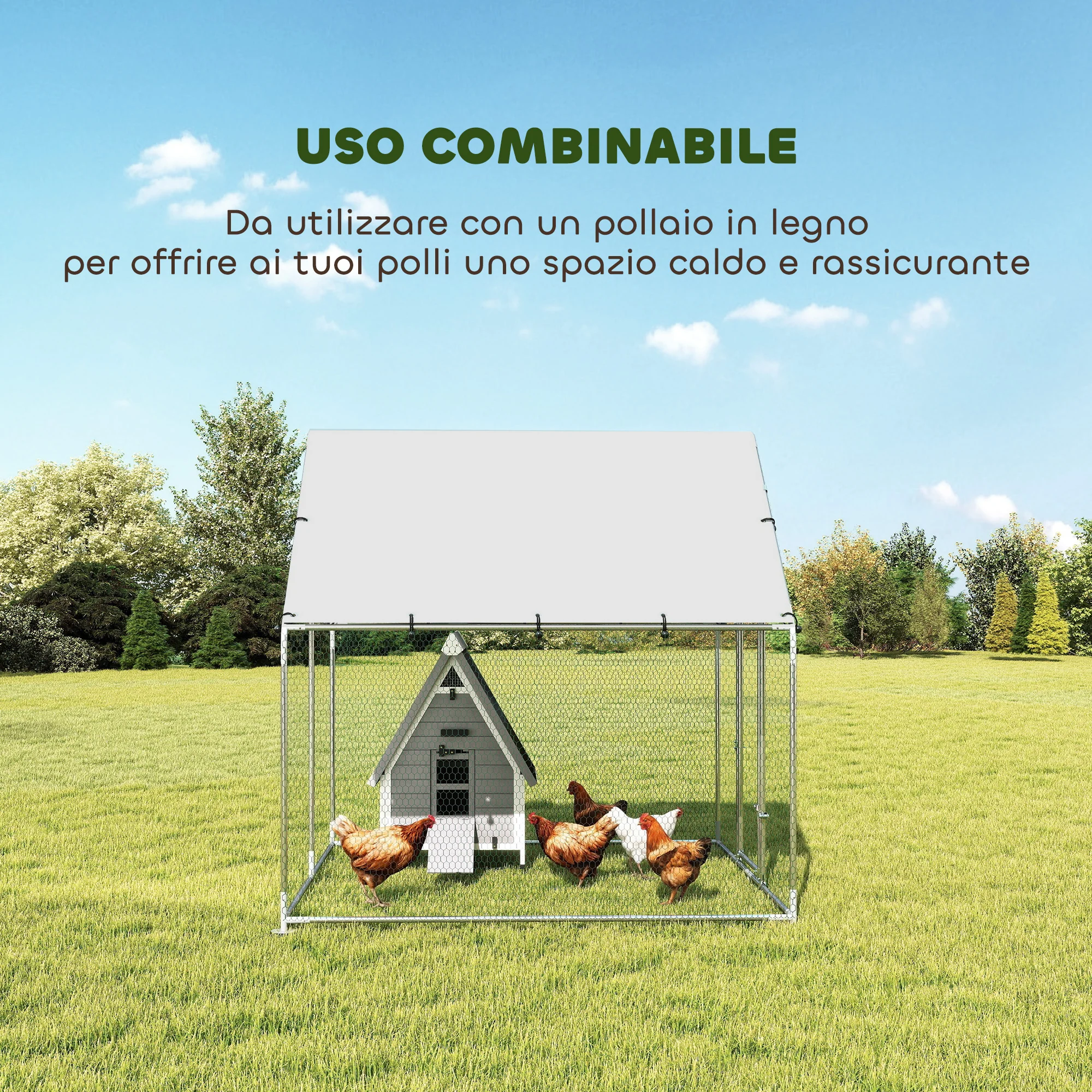 Immagine prodotto 5