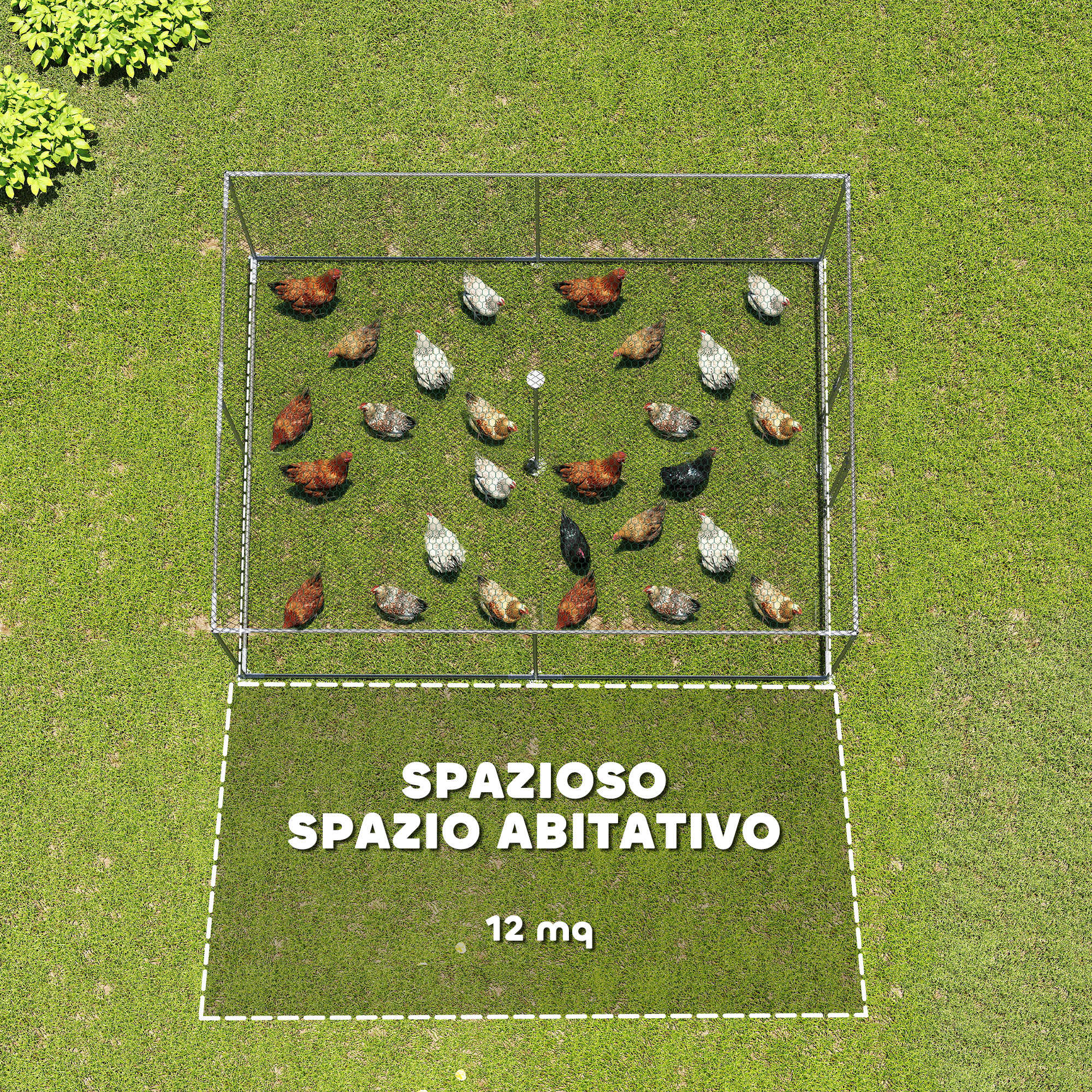 Immagine prodotto 4