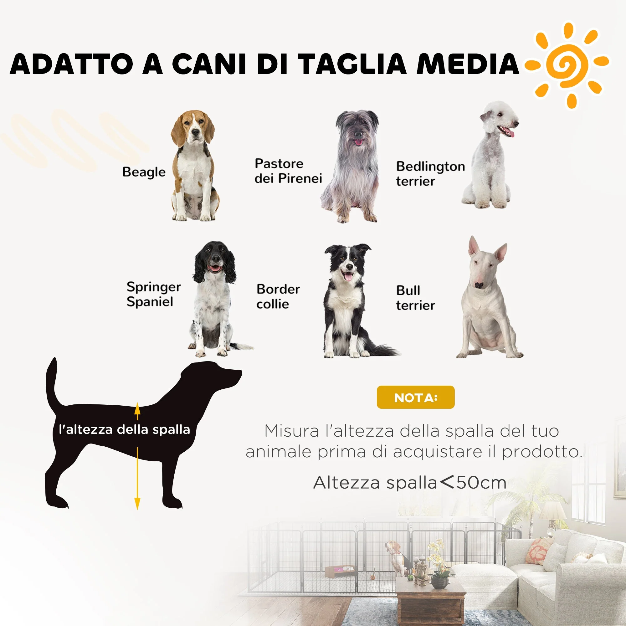 Immagine prodotto 7