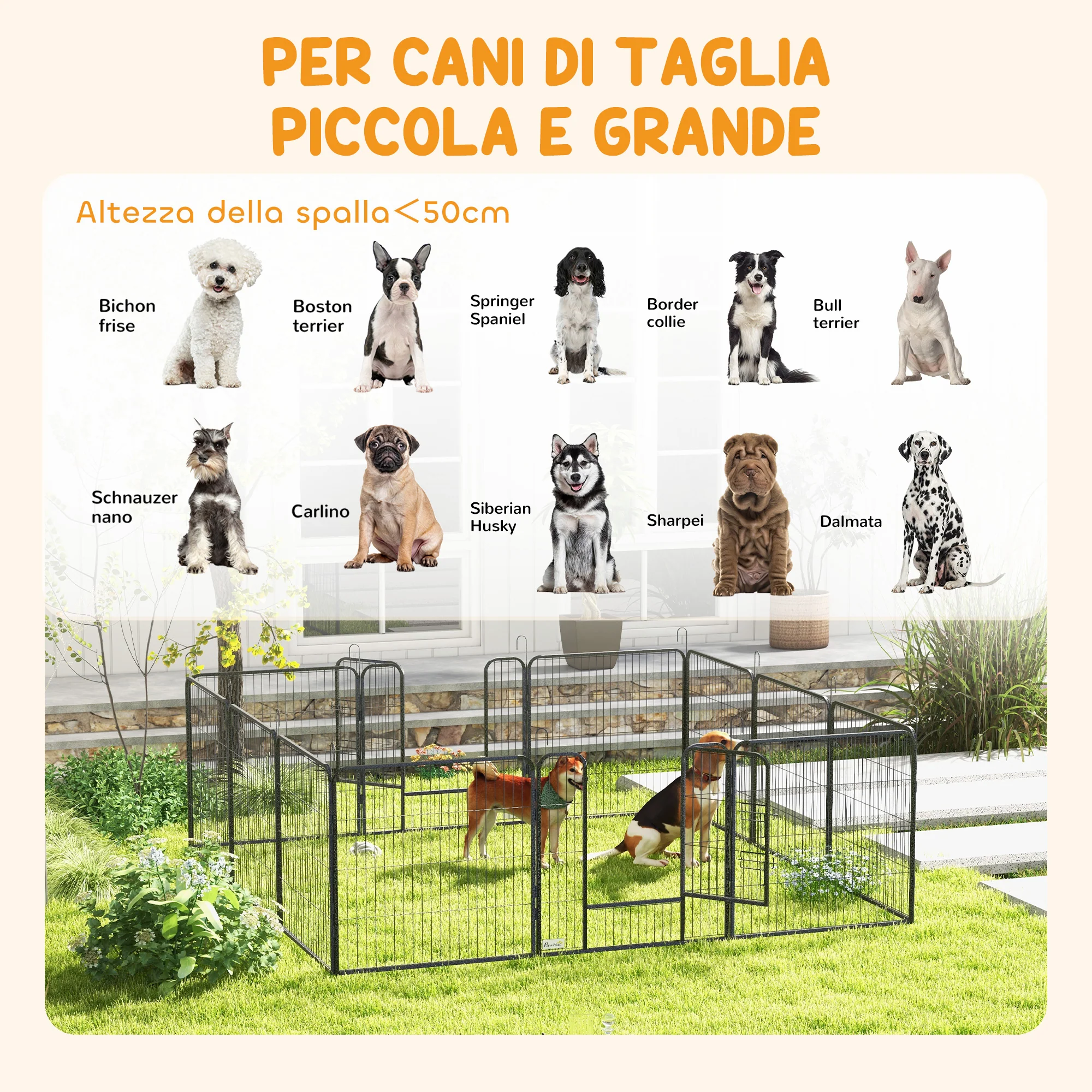 Immagine prodotto 6