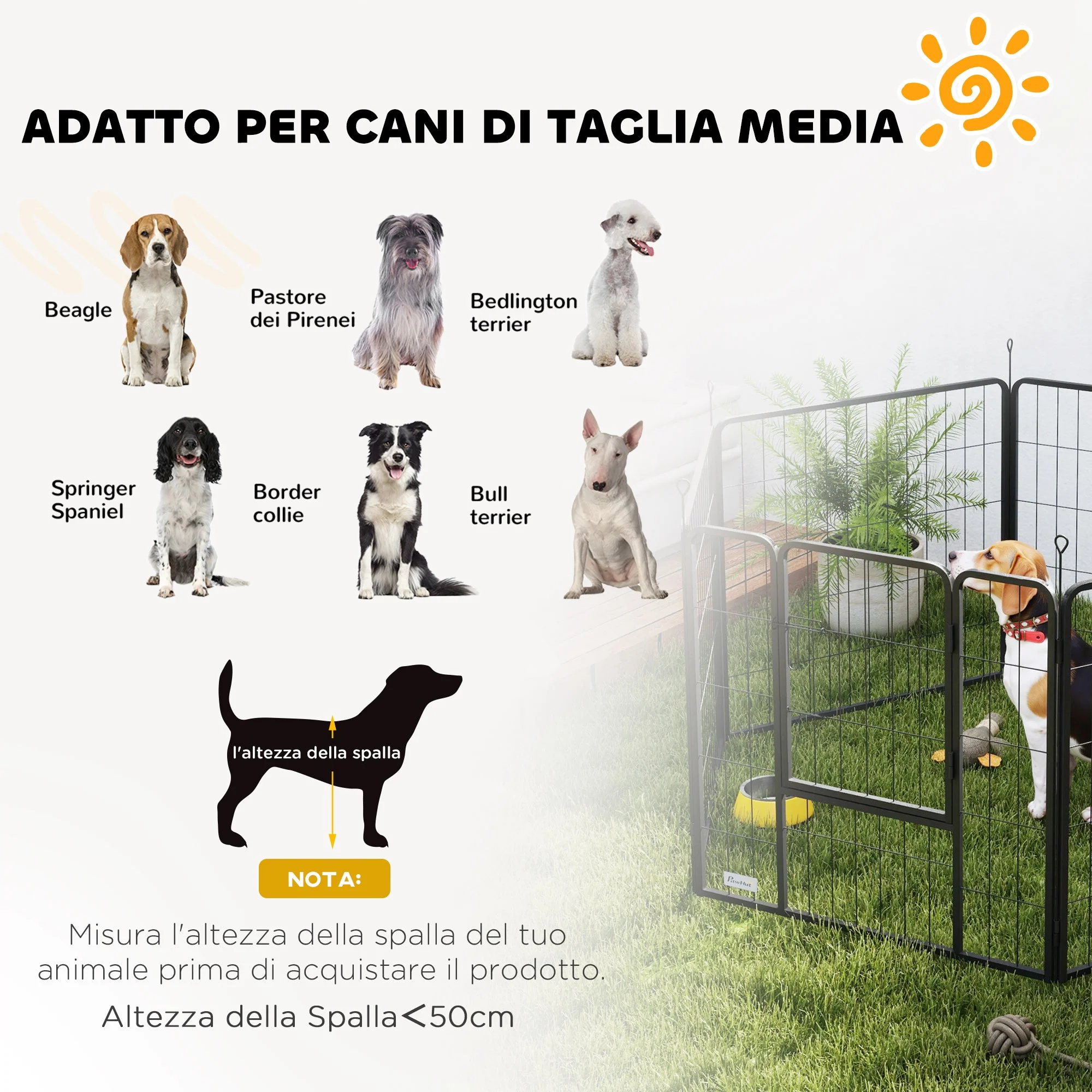 Immagine prodotto 7