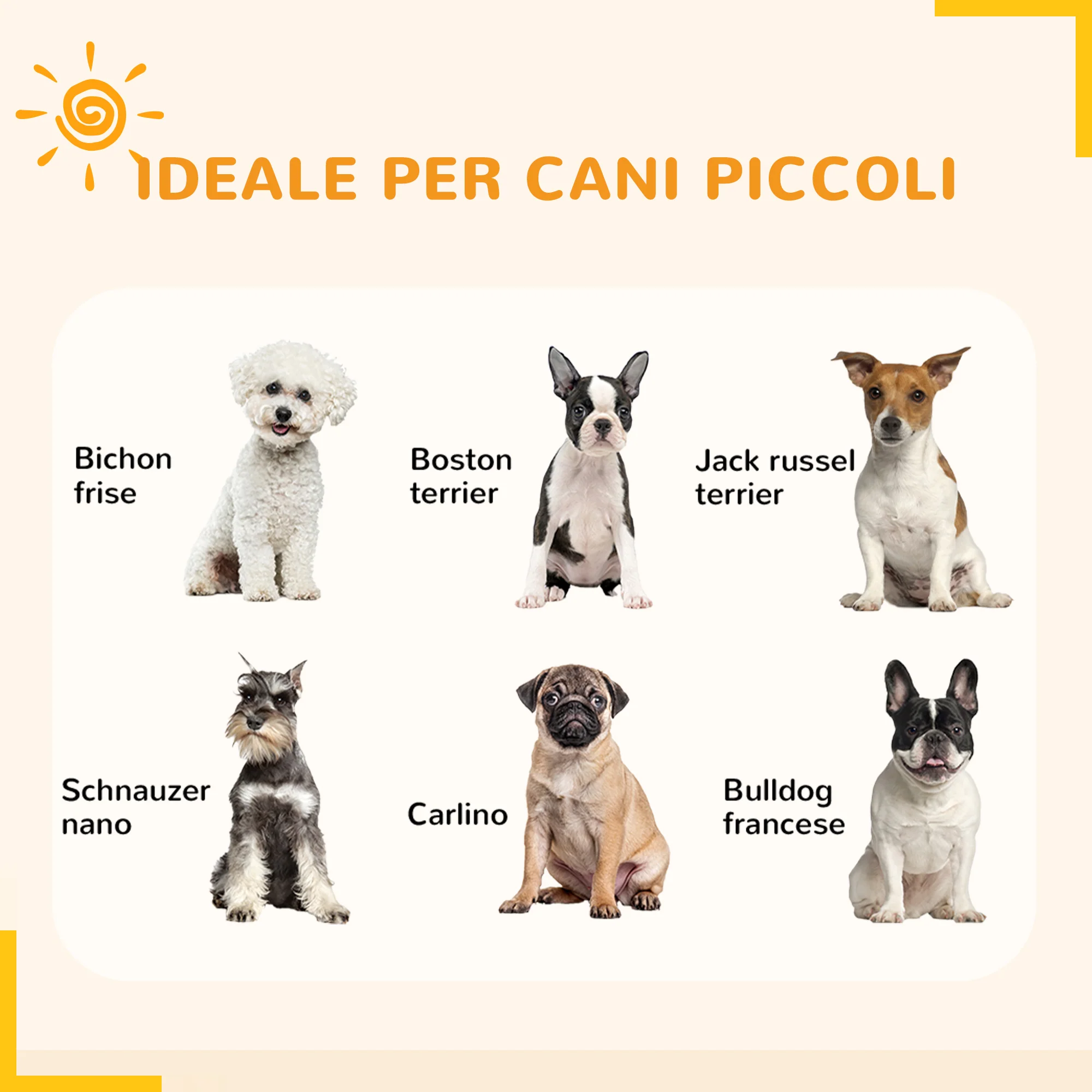 Immagine prodotto 4