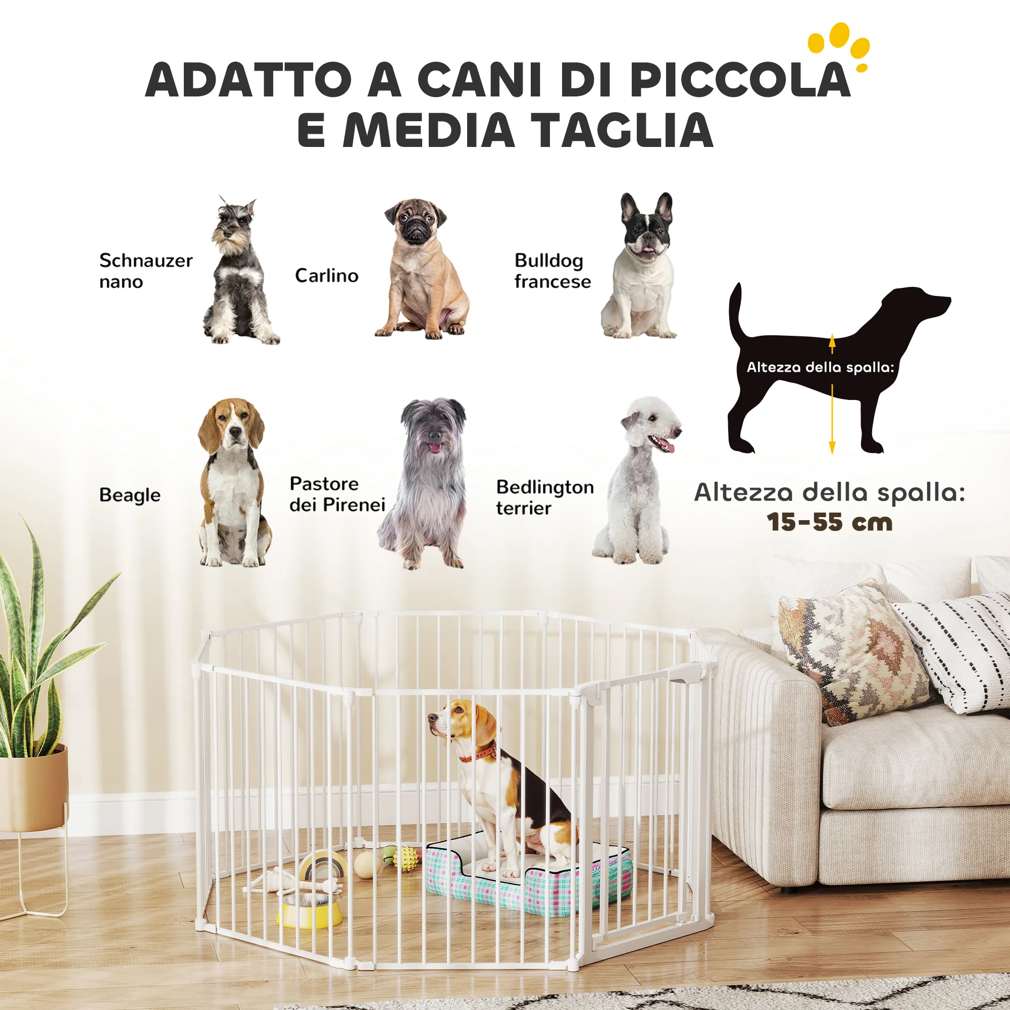 Immagine prodotto 9