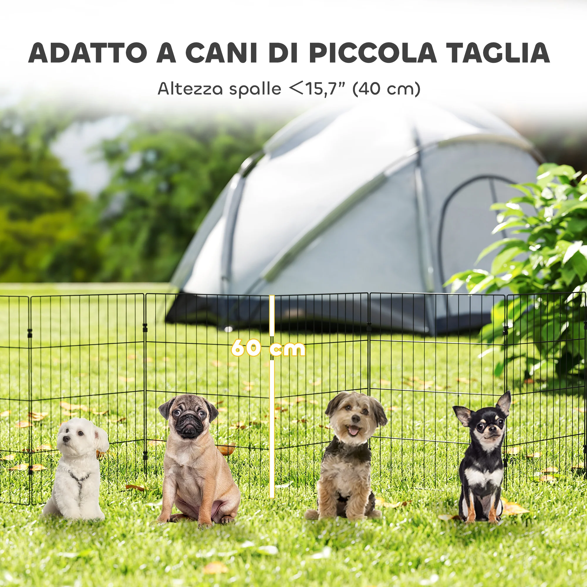 Immagine prodotto 5