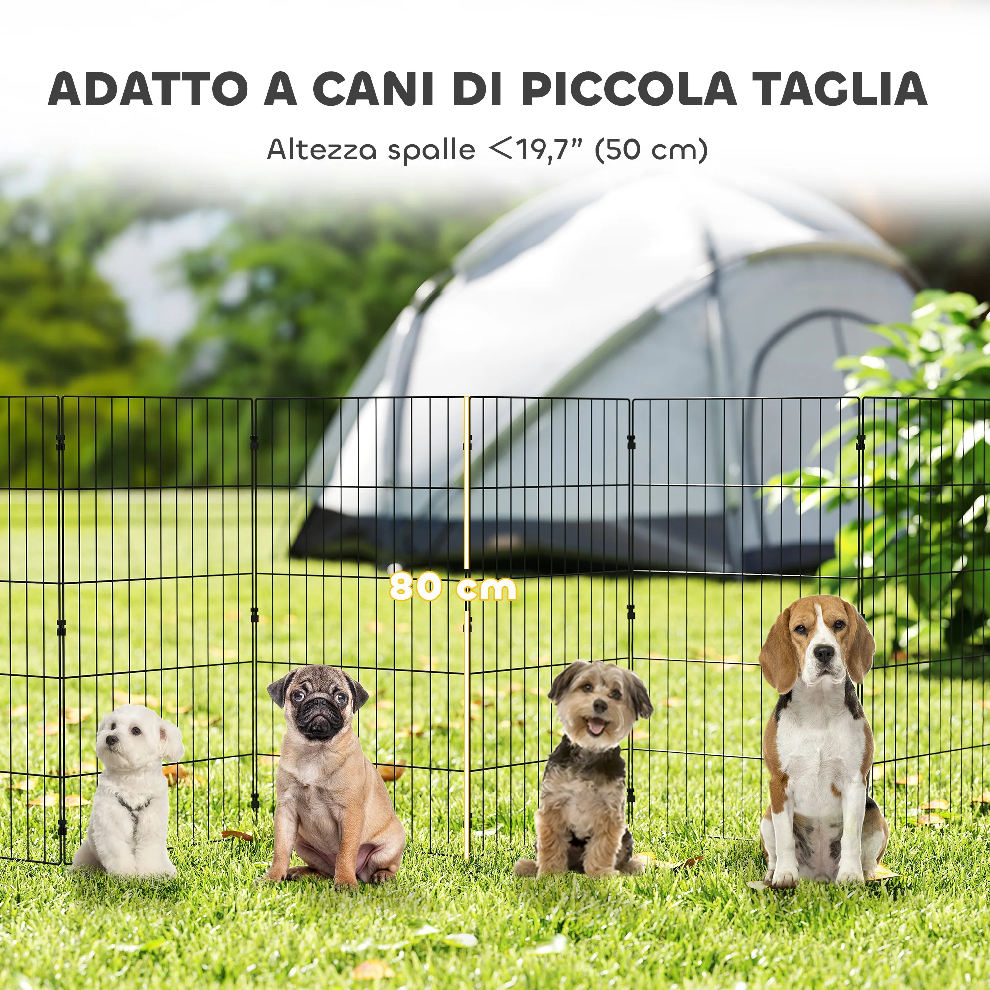 Immagine prodotto 5