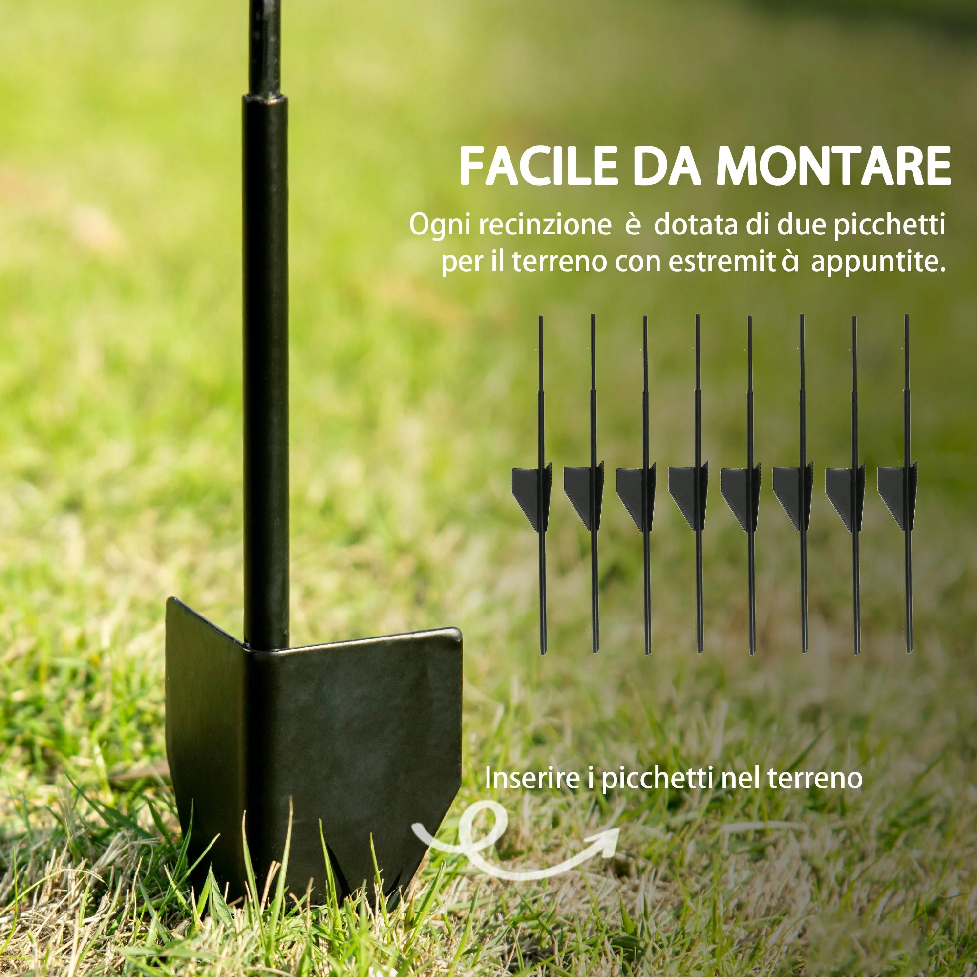 Immagine prodotto 4