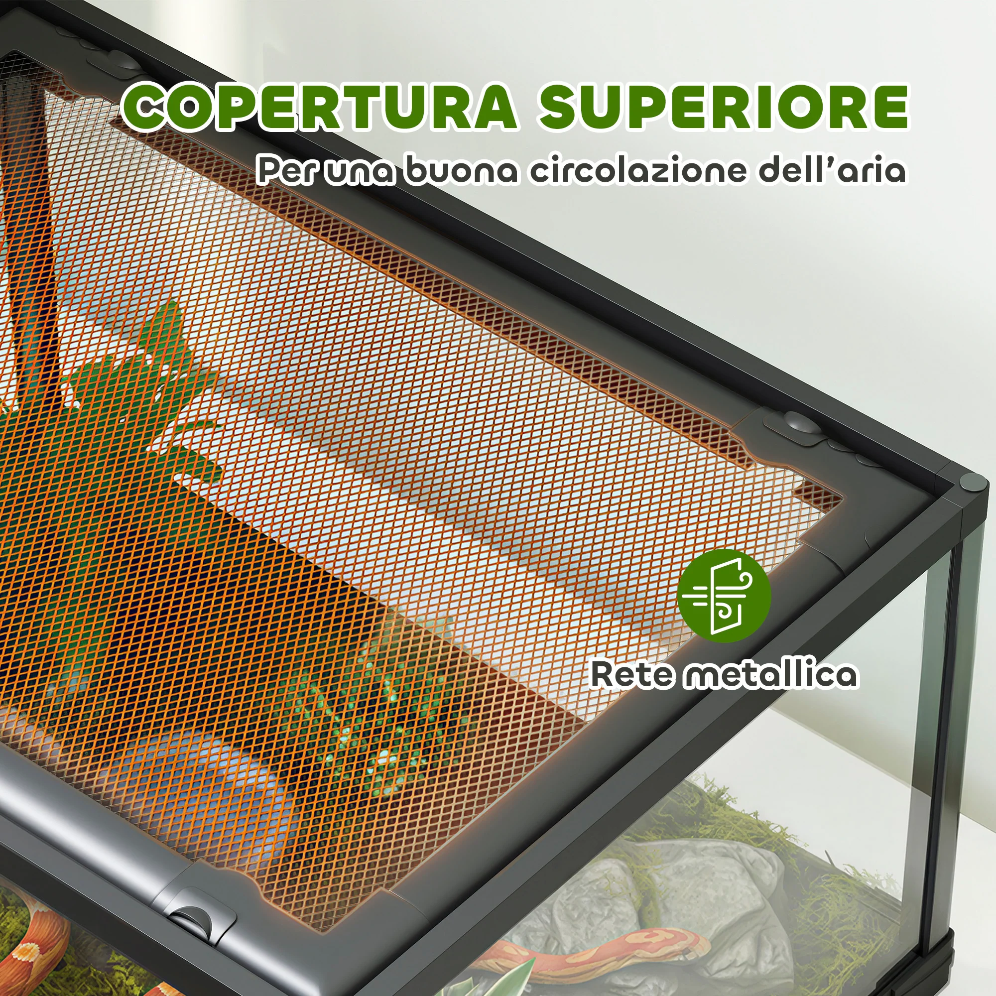 Immagine prodotto 5
