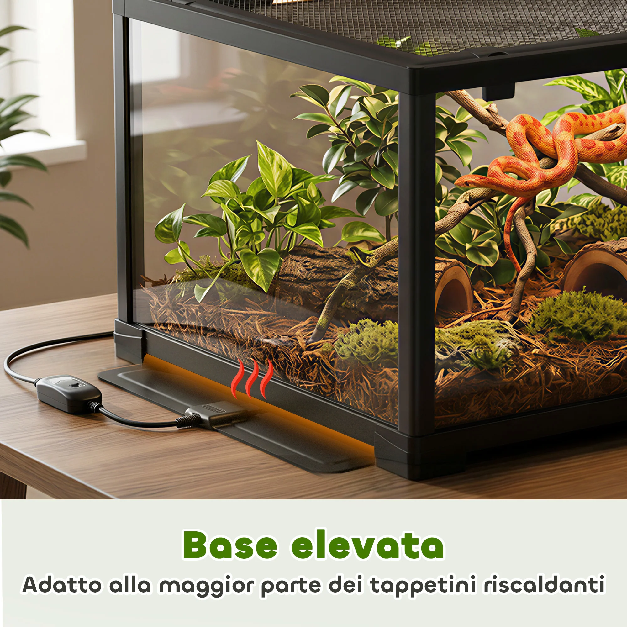 Immagine prodotto 6