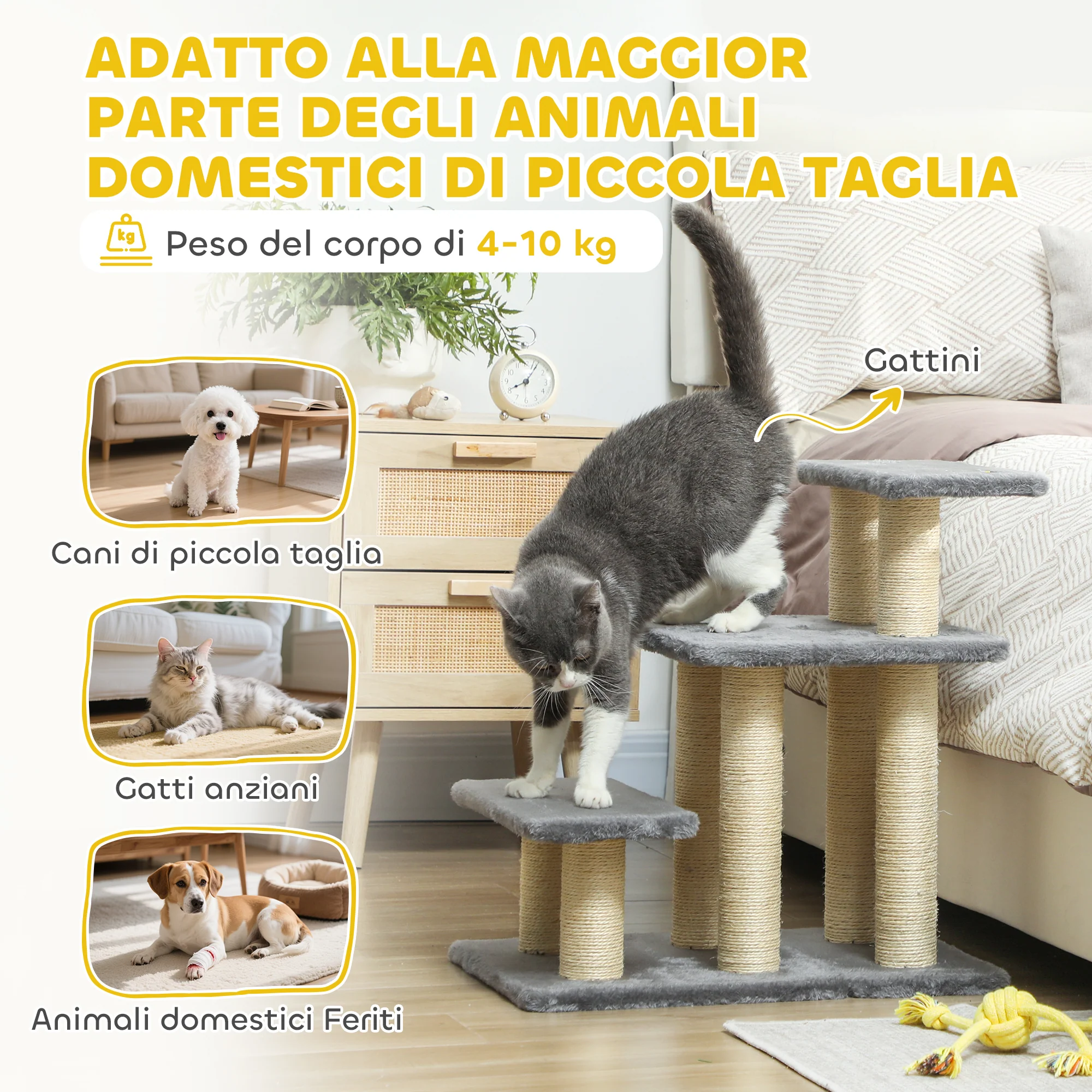 Immagine prodotto 7