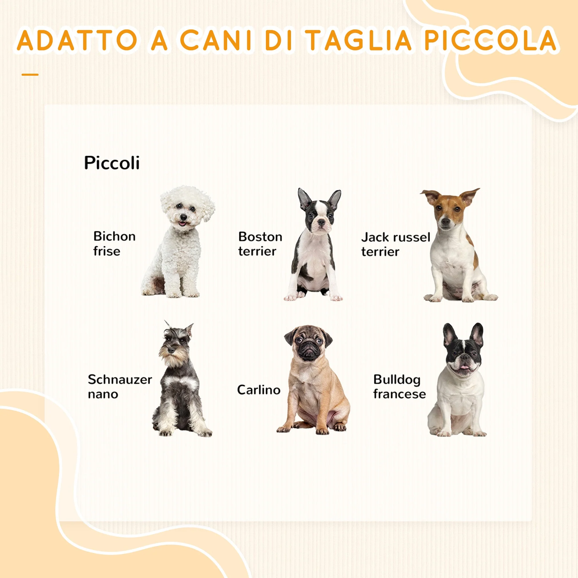 Immagine prodotto 7