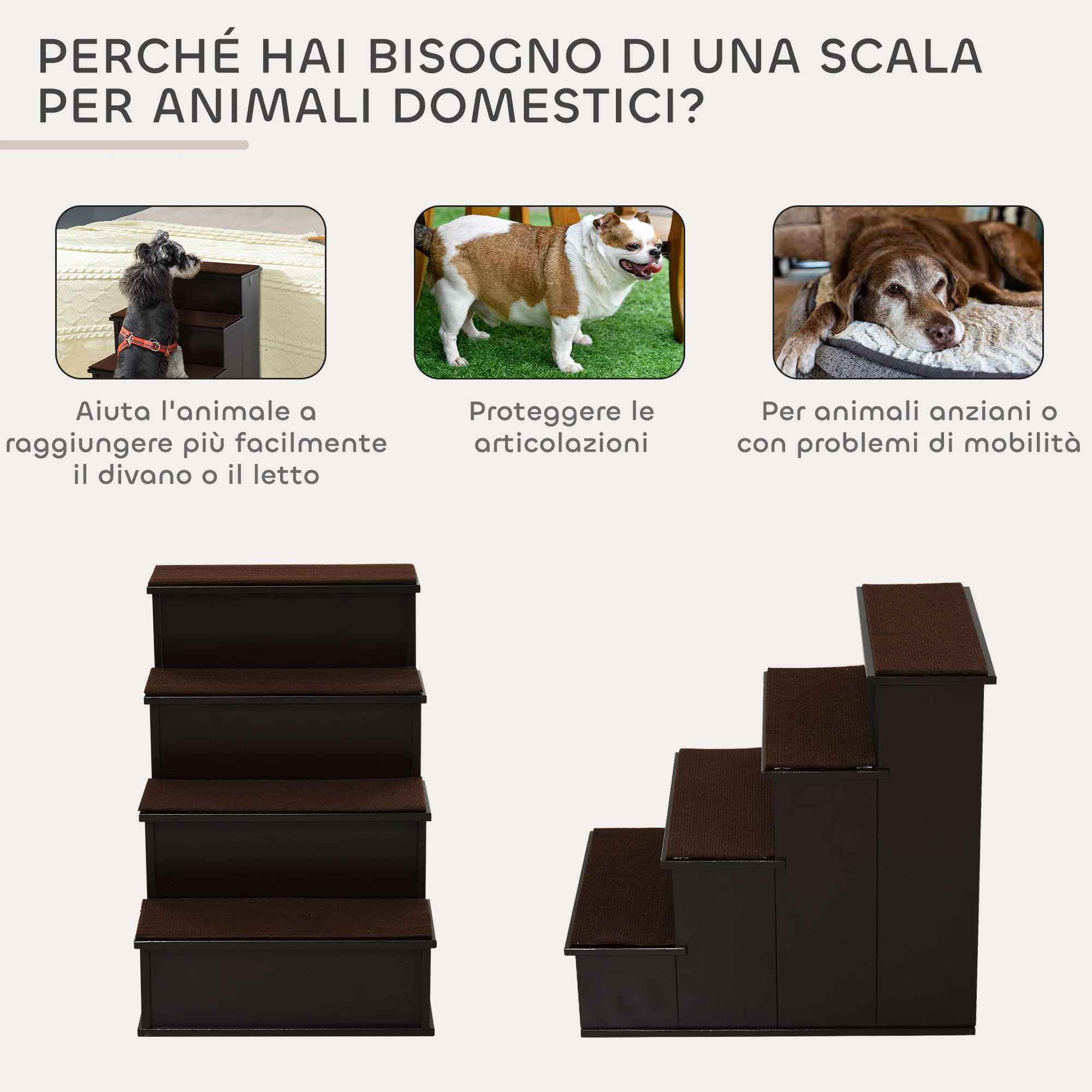 Immagine prodotto 5
