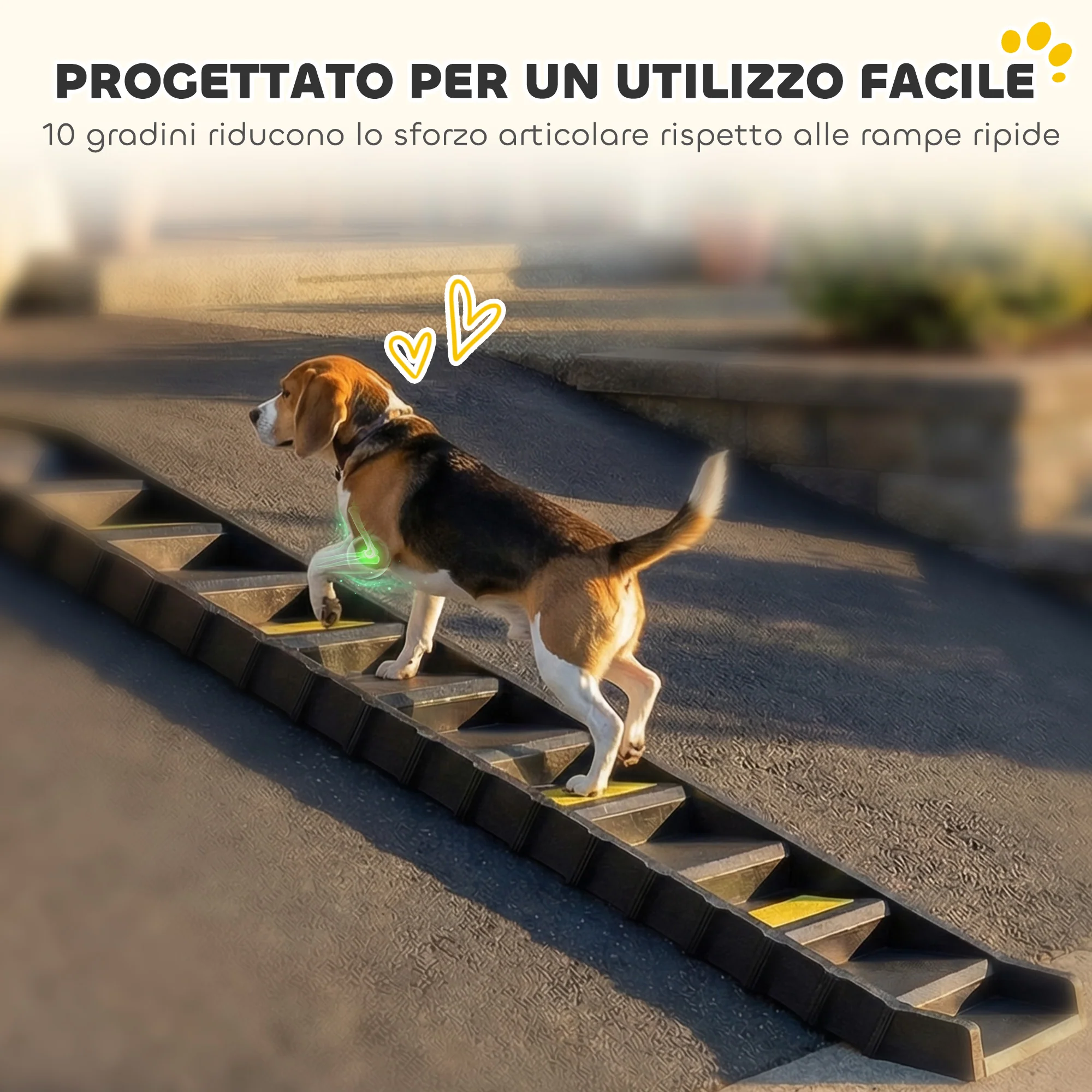 Immagine prodotto 4
