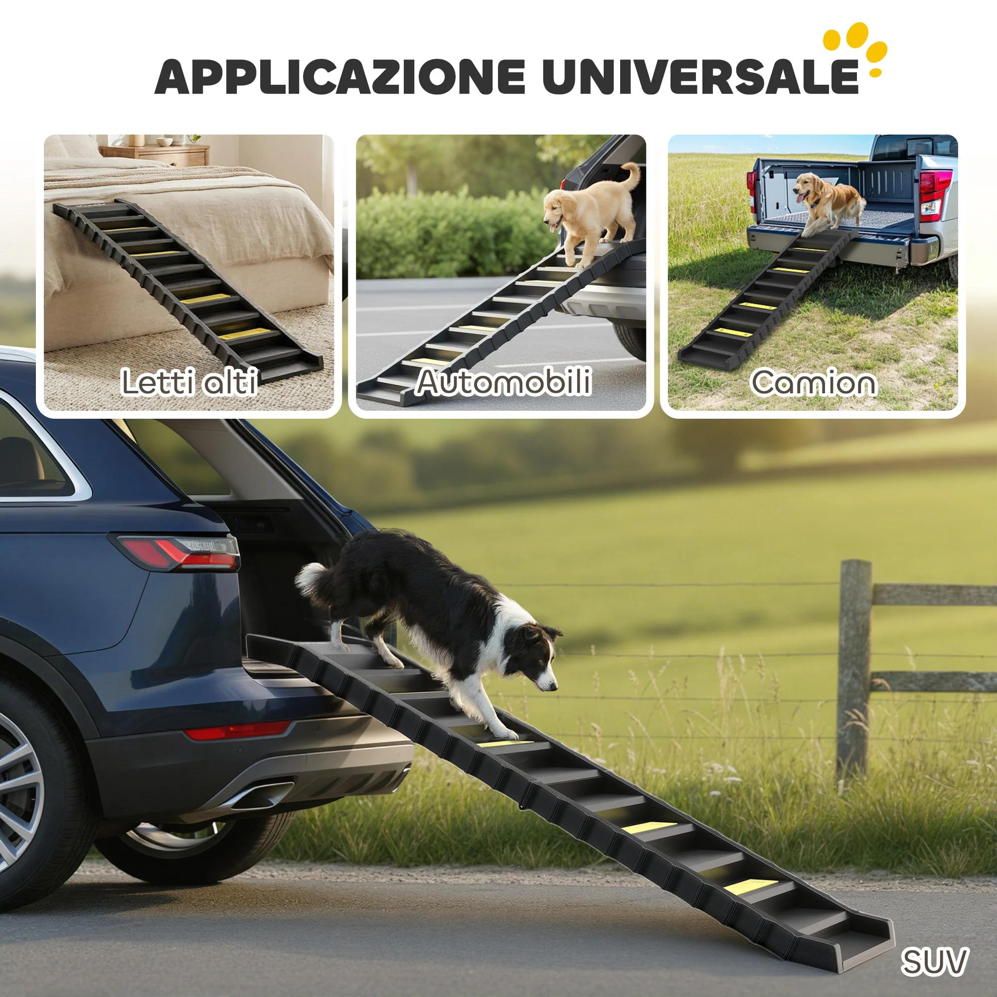Immagine prodotto 7