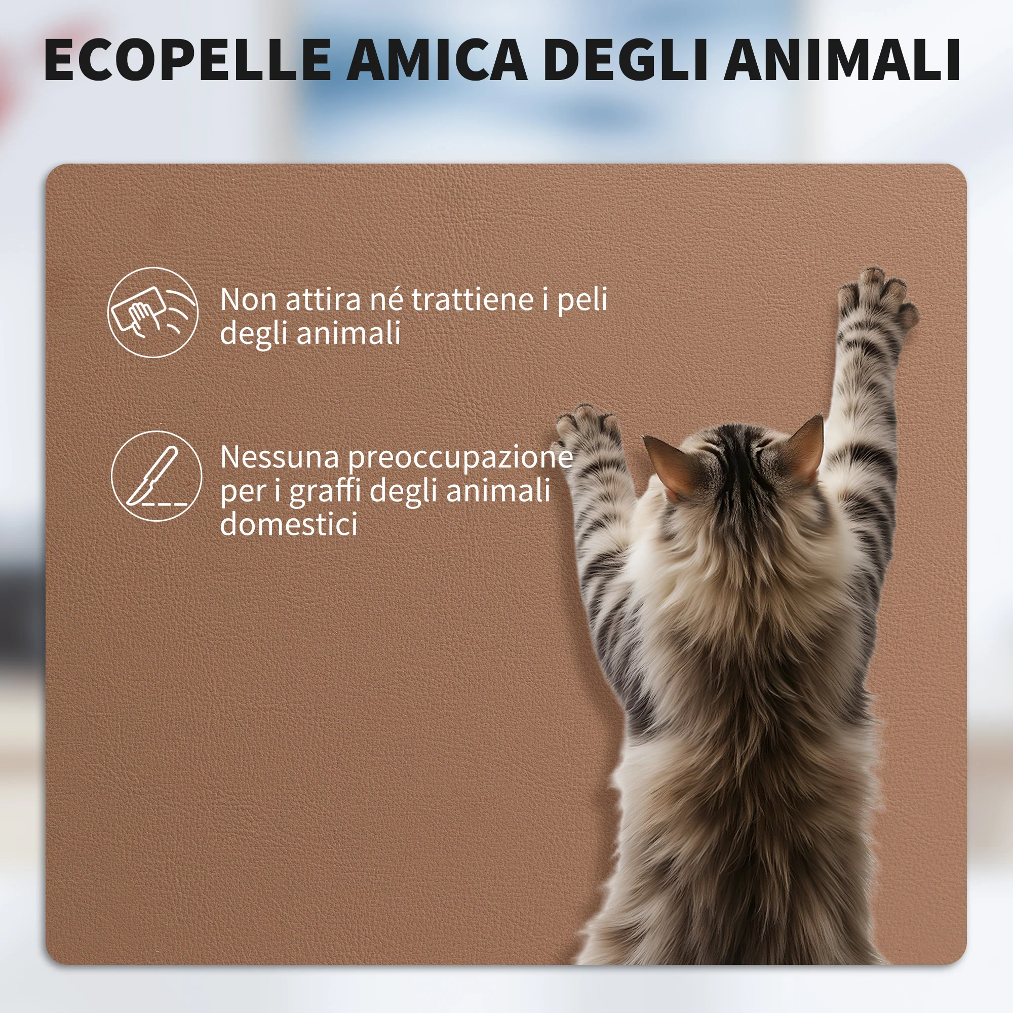 Immagine prodotto 6