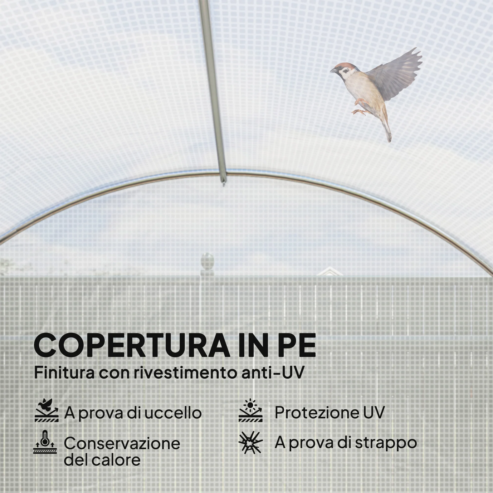 Immagine prodotto 5