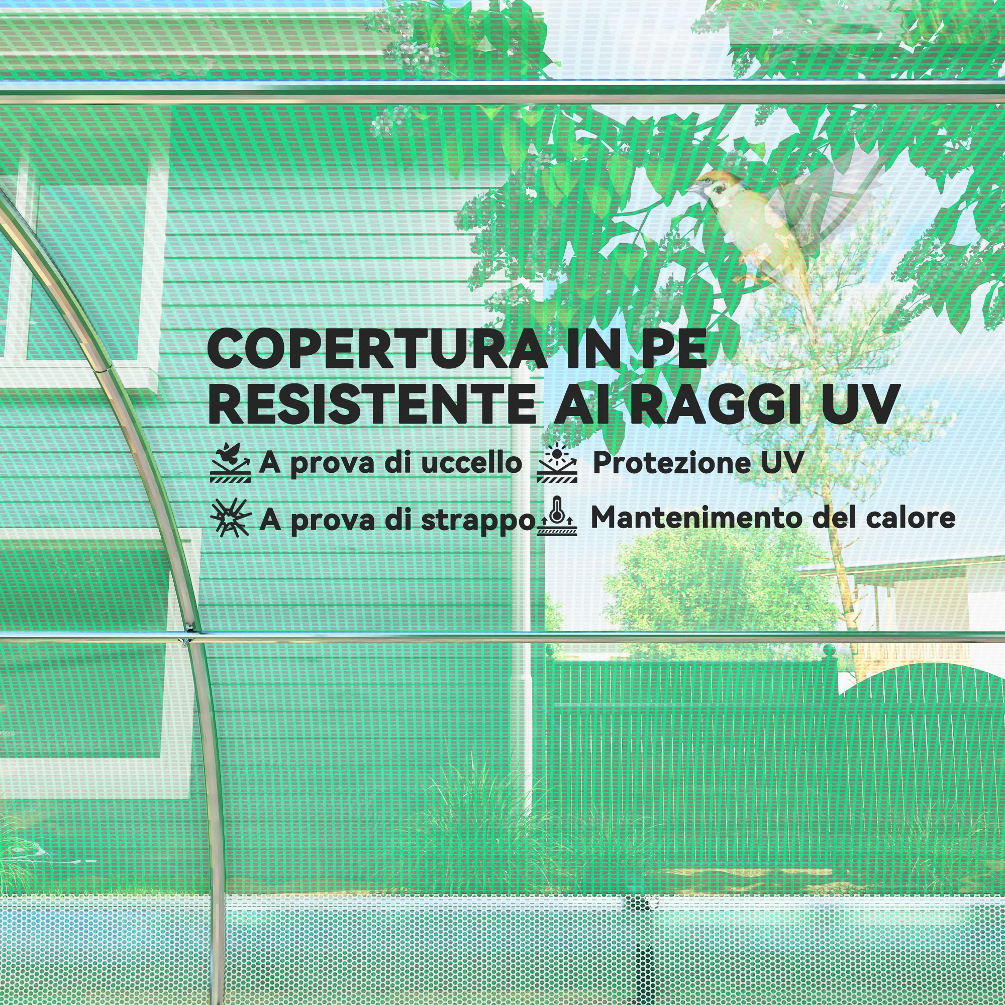 Immagine prodotto 6