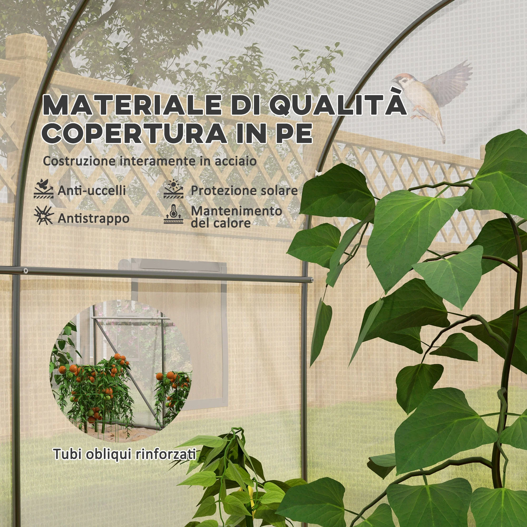 Immagine prodotto 4