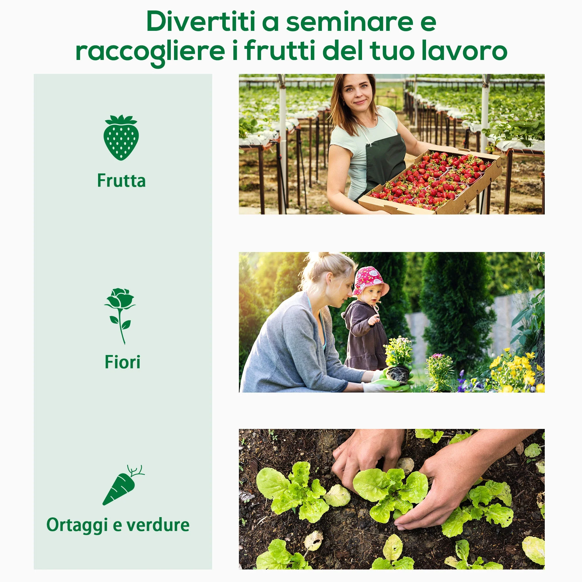 Immagine prodotto 7