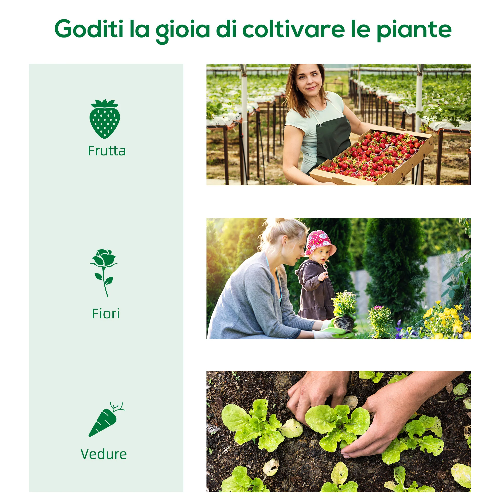 Immagine prodotto 7