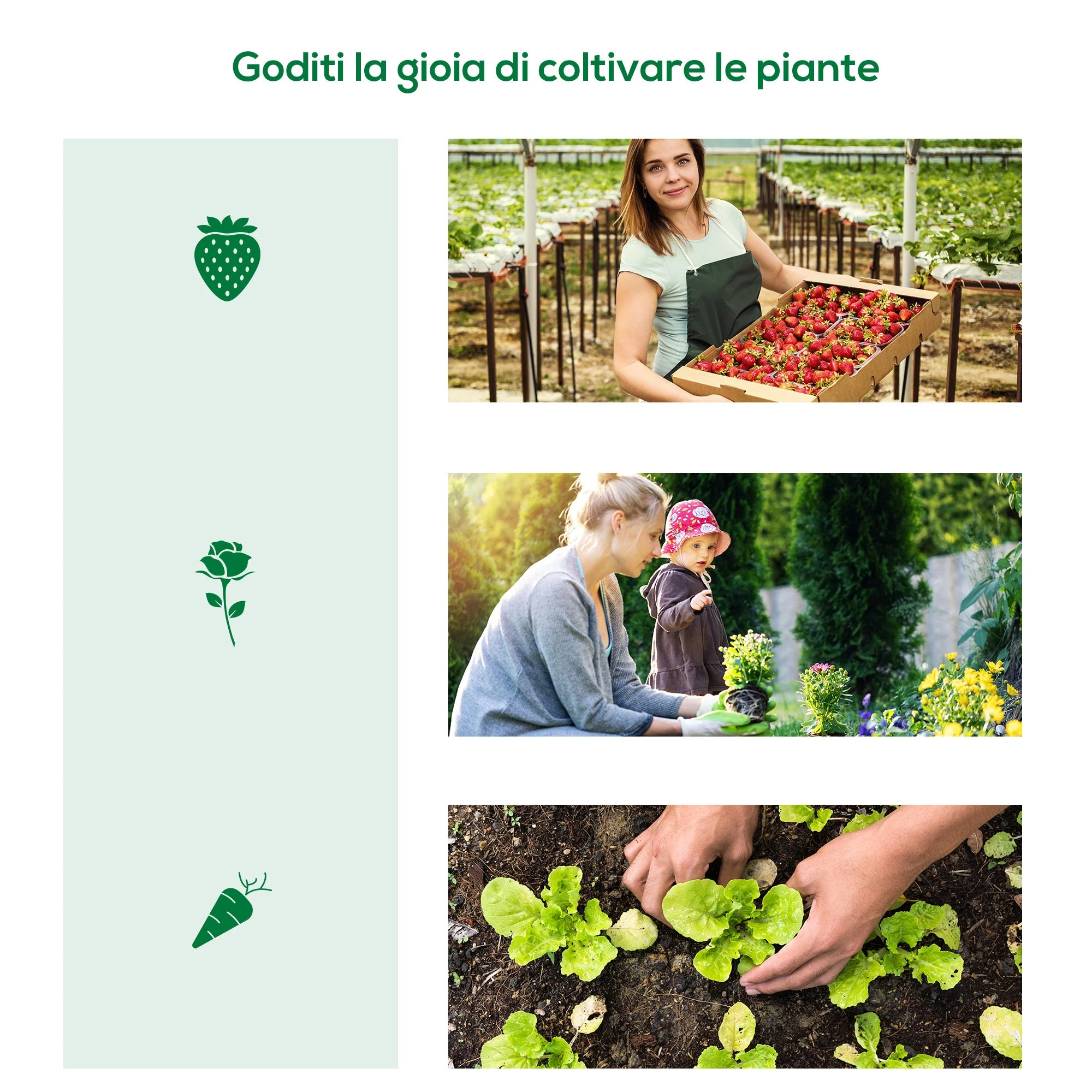 Immagine prodotto 7