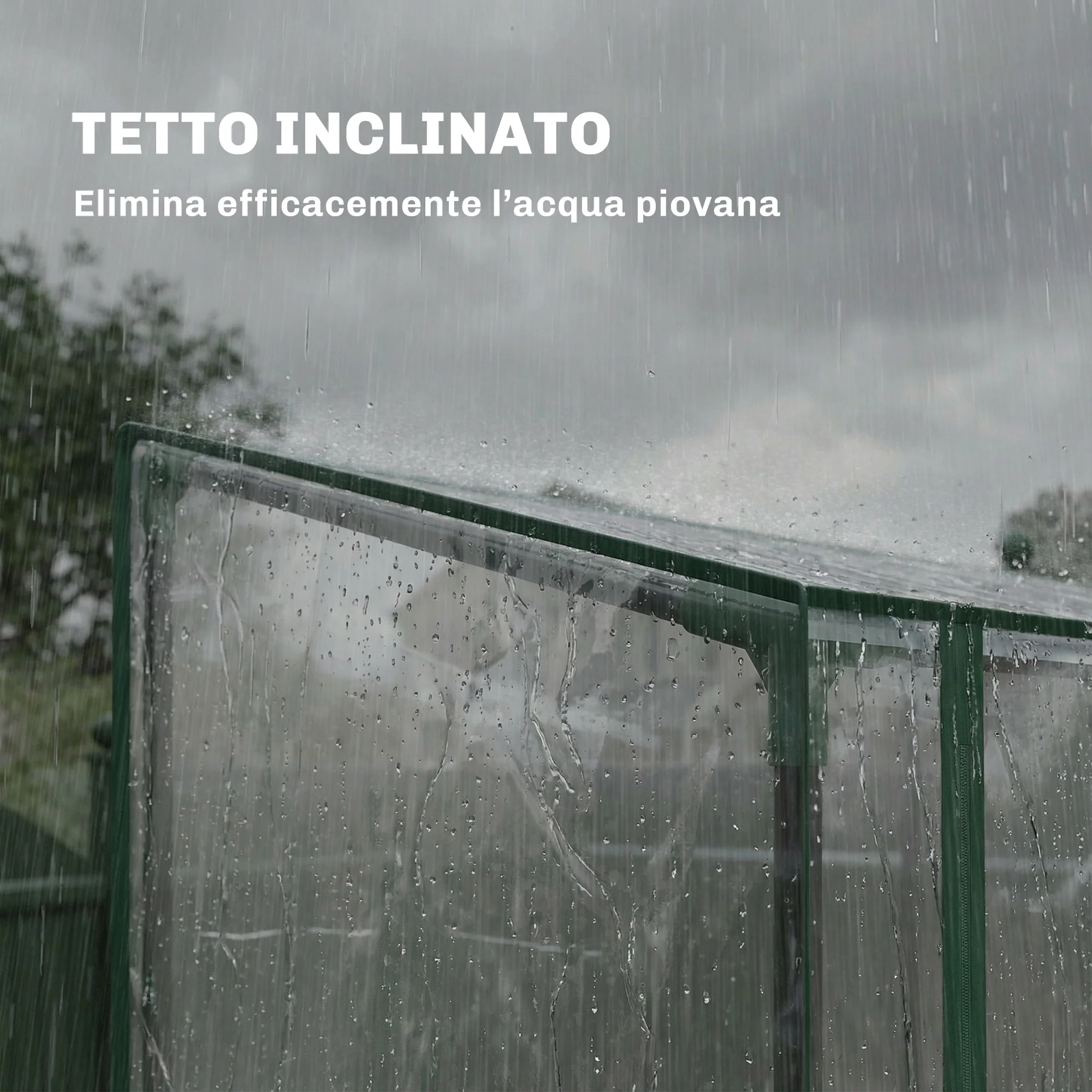 Immagine prodotto 6