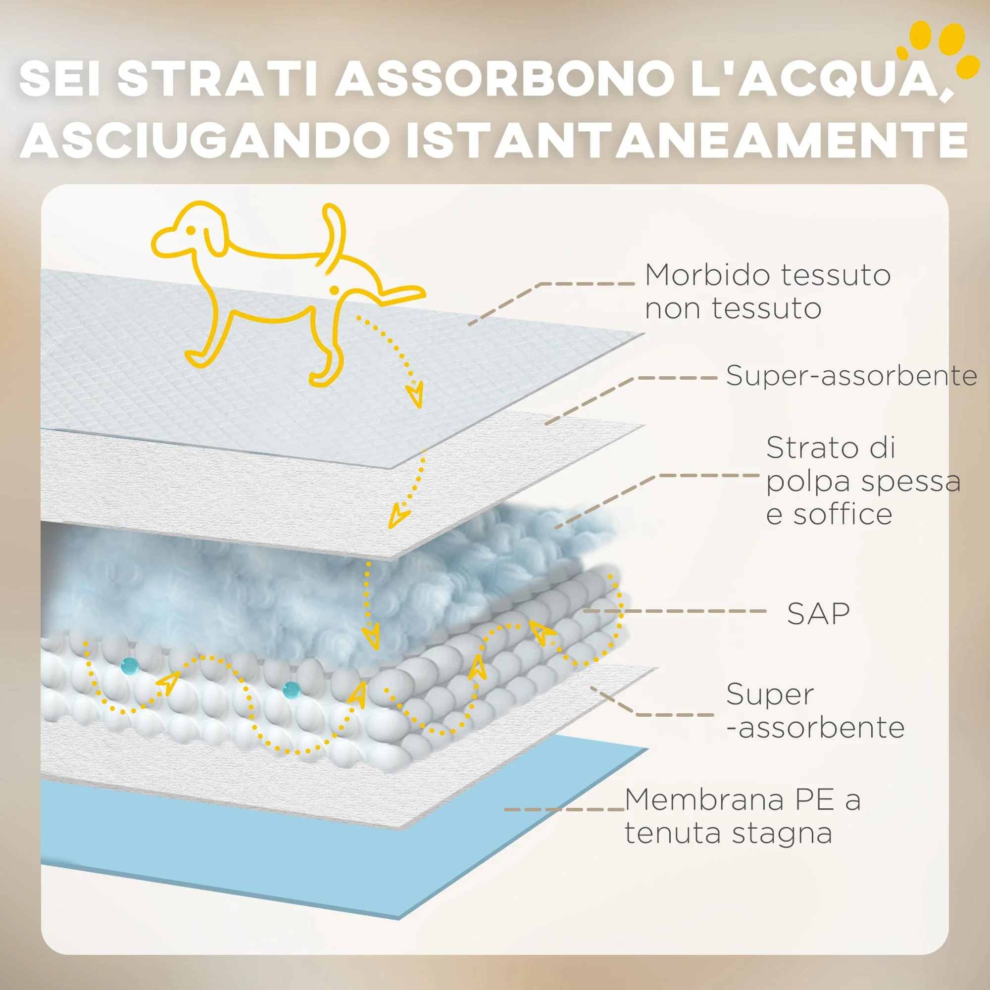 Immagine prodotto 6