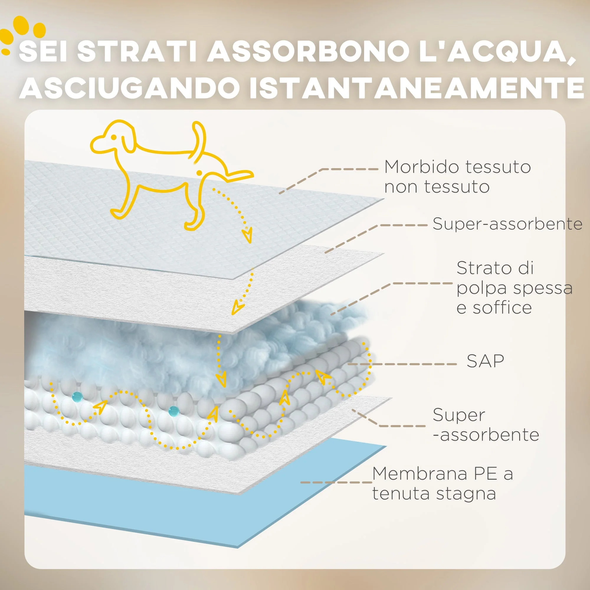Immagine prodotto 6