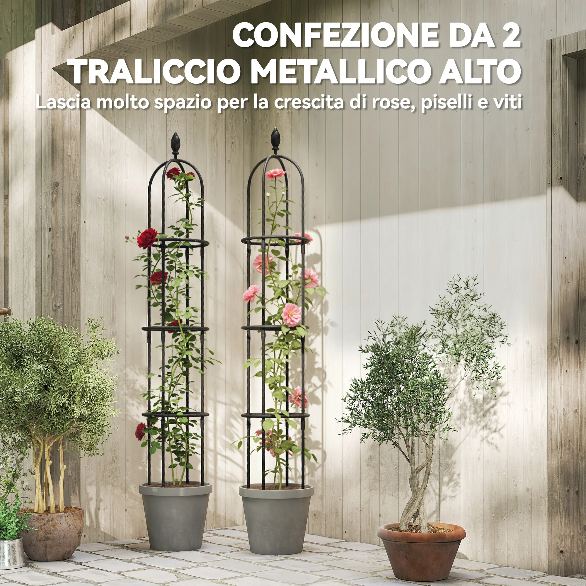 Immagine prodotto 4