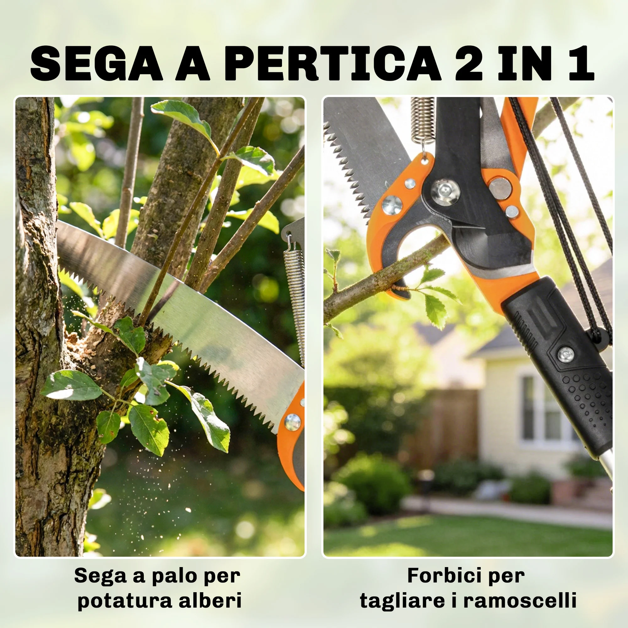 Immagine prodotto 5