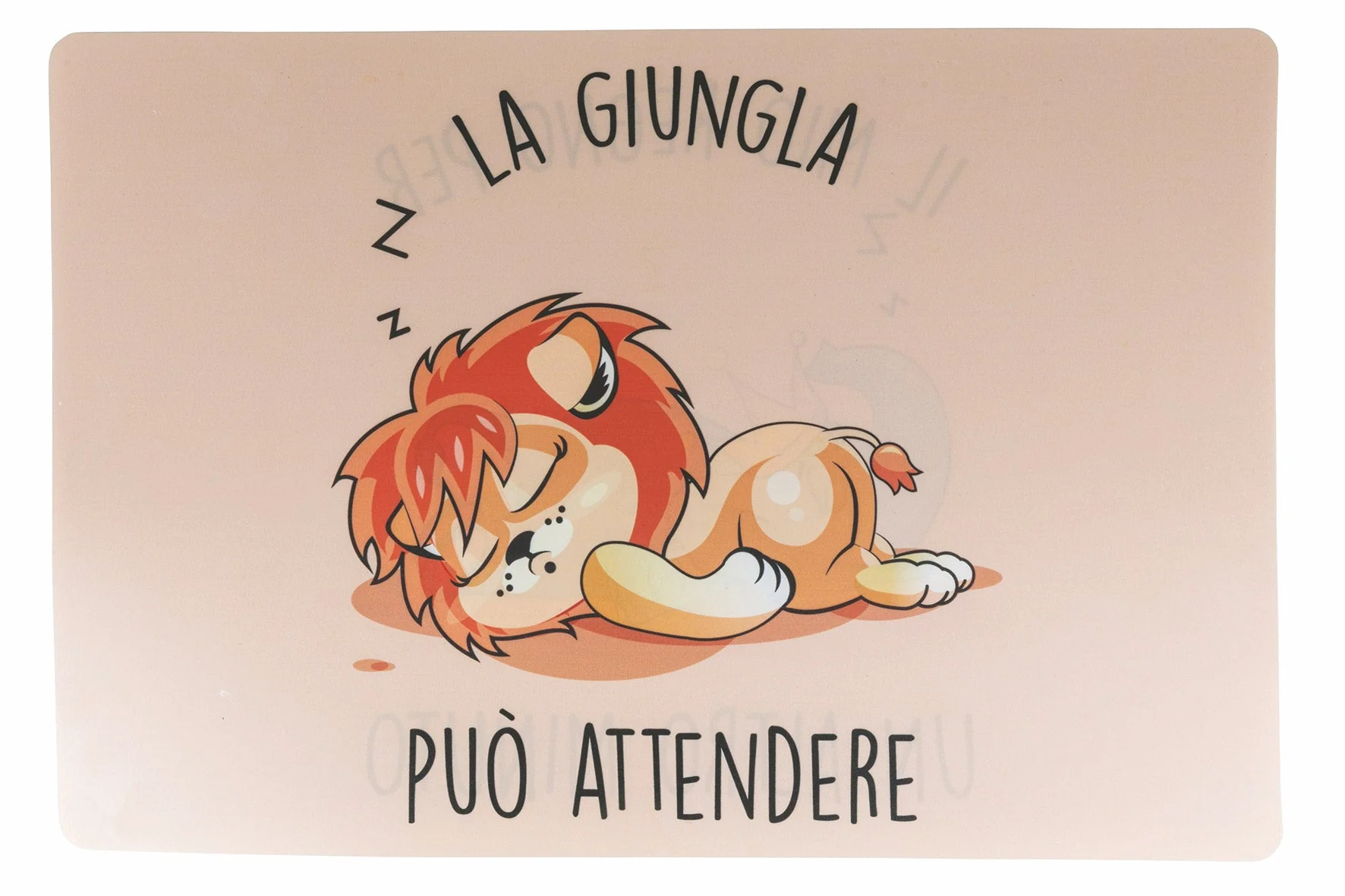 Immagine prodotto 6