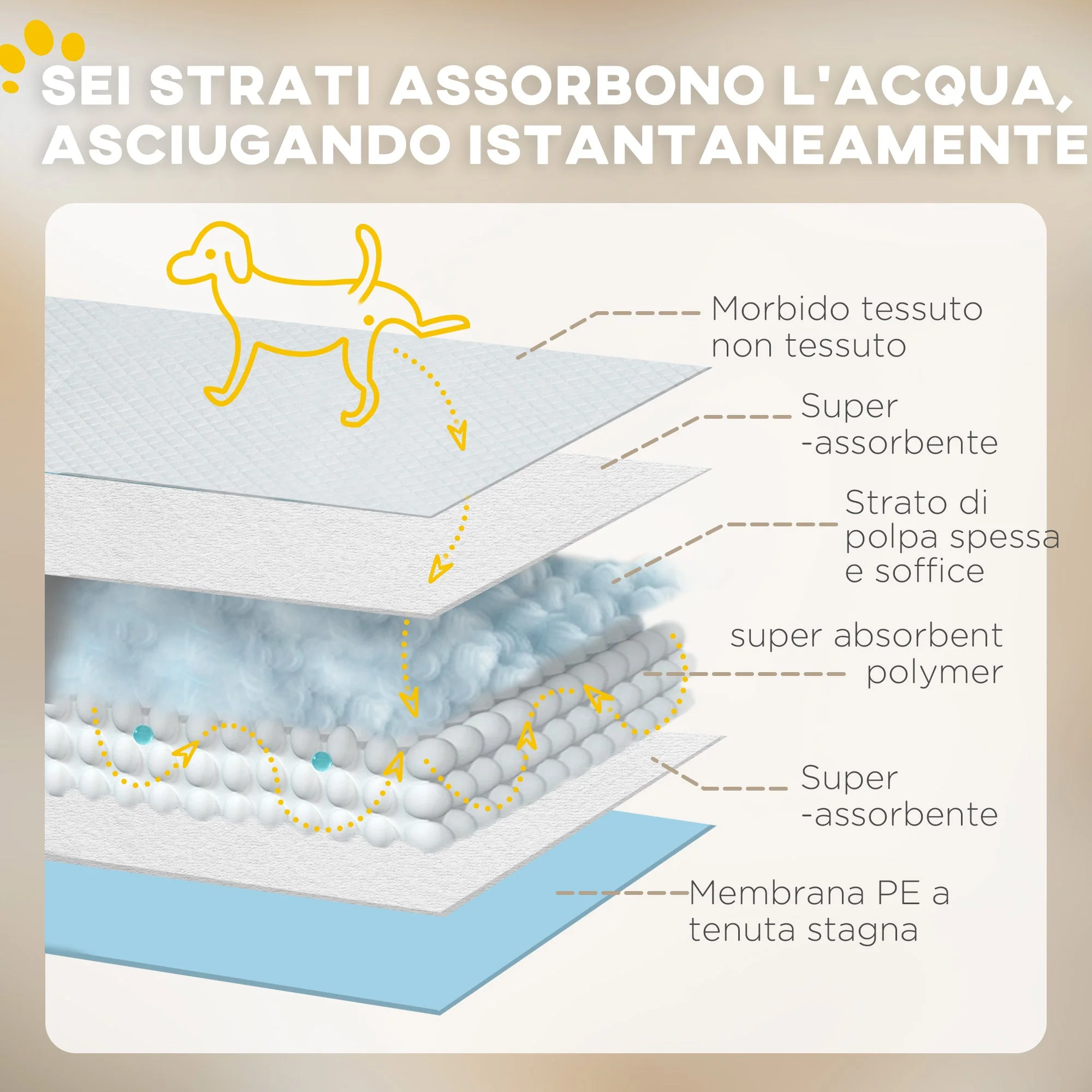 Immagine prodotto 6