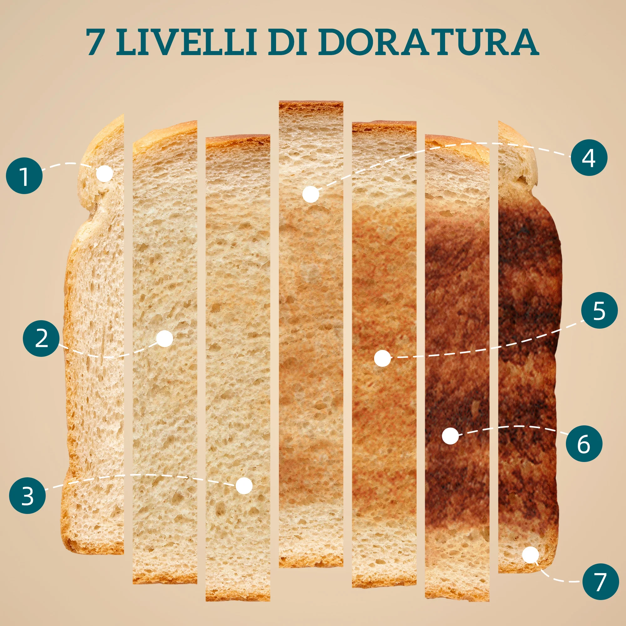 Immagine prodotto 6