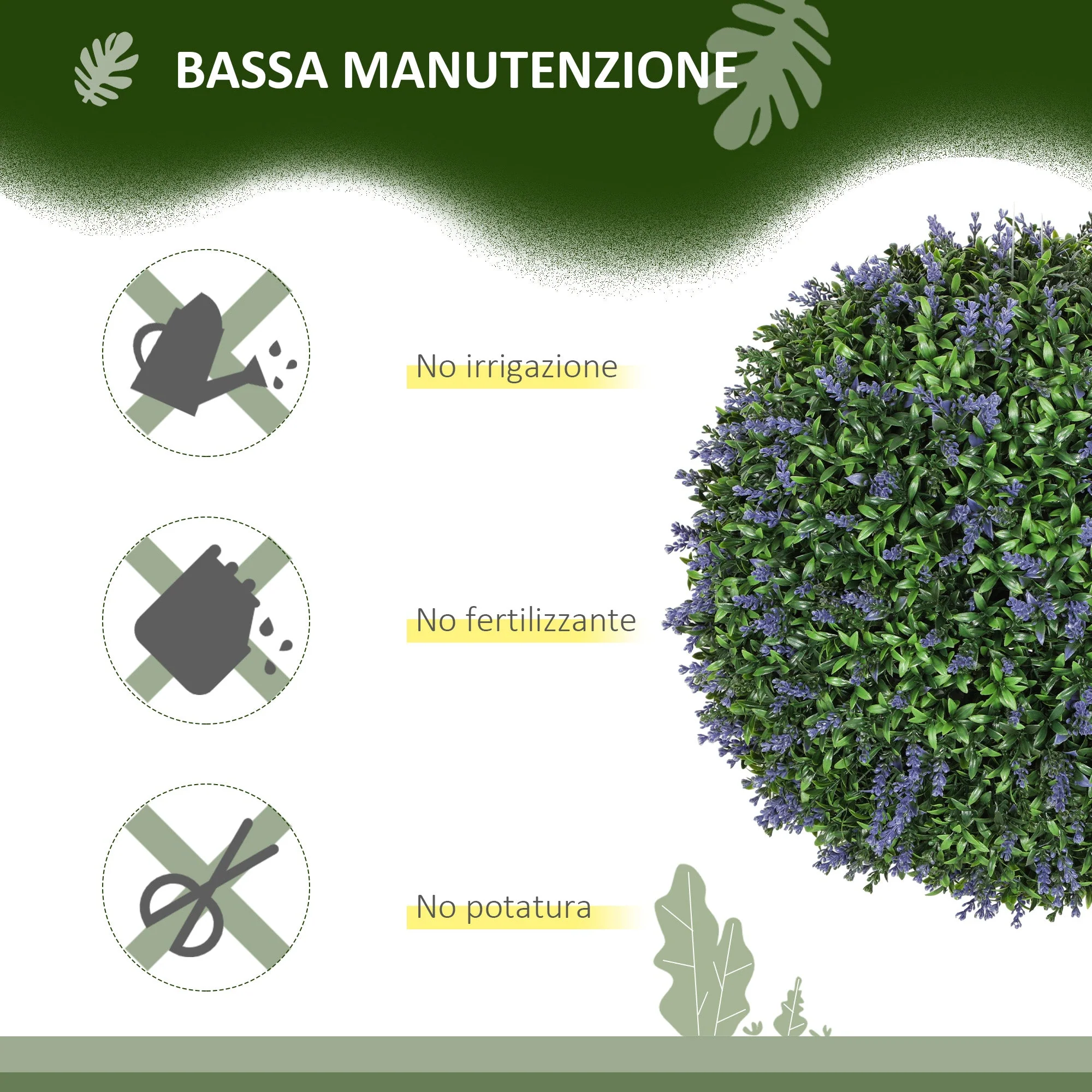 Immagine prodotto 5