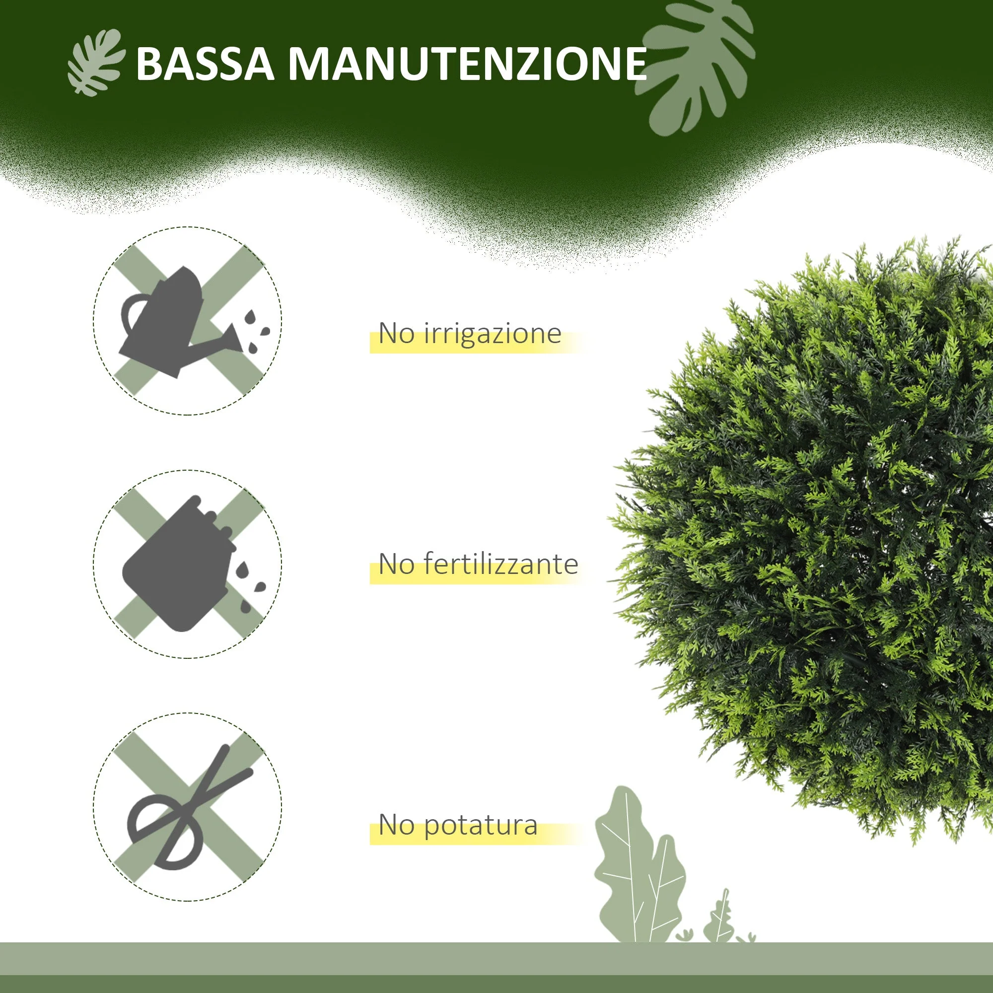 Immagine prodotto 5