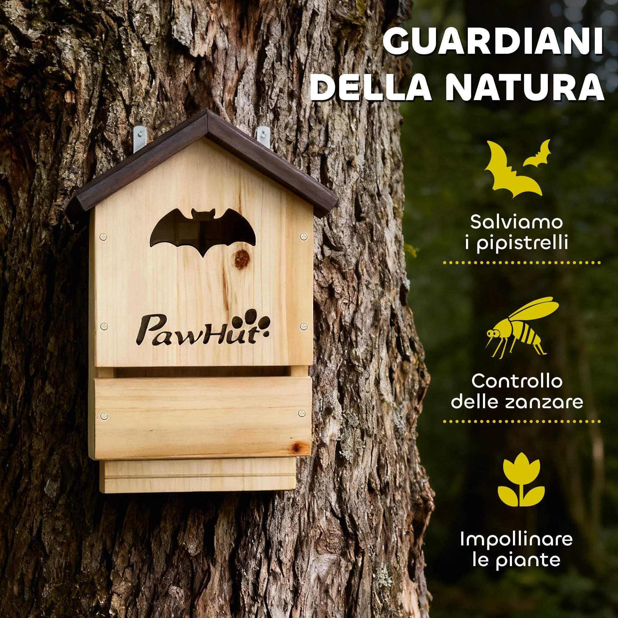 Immagine prodotto 6