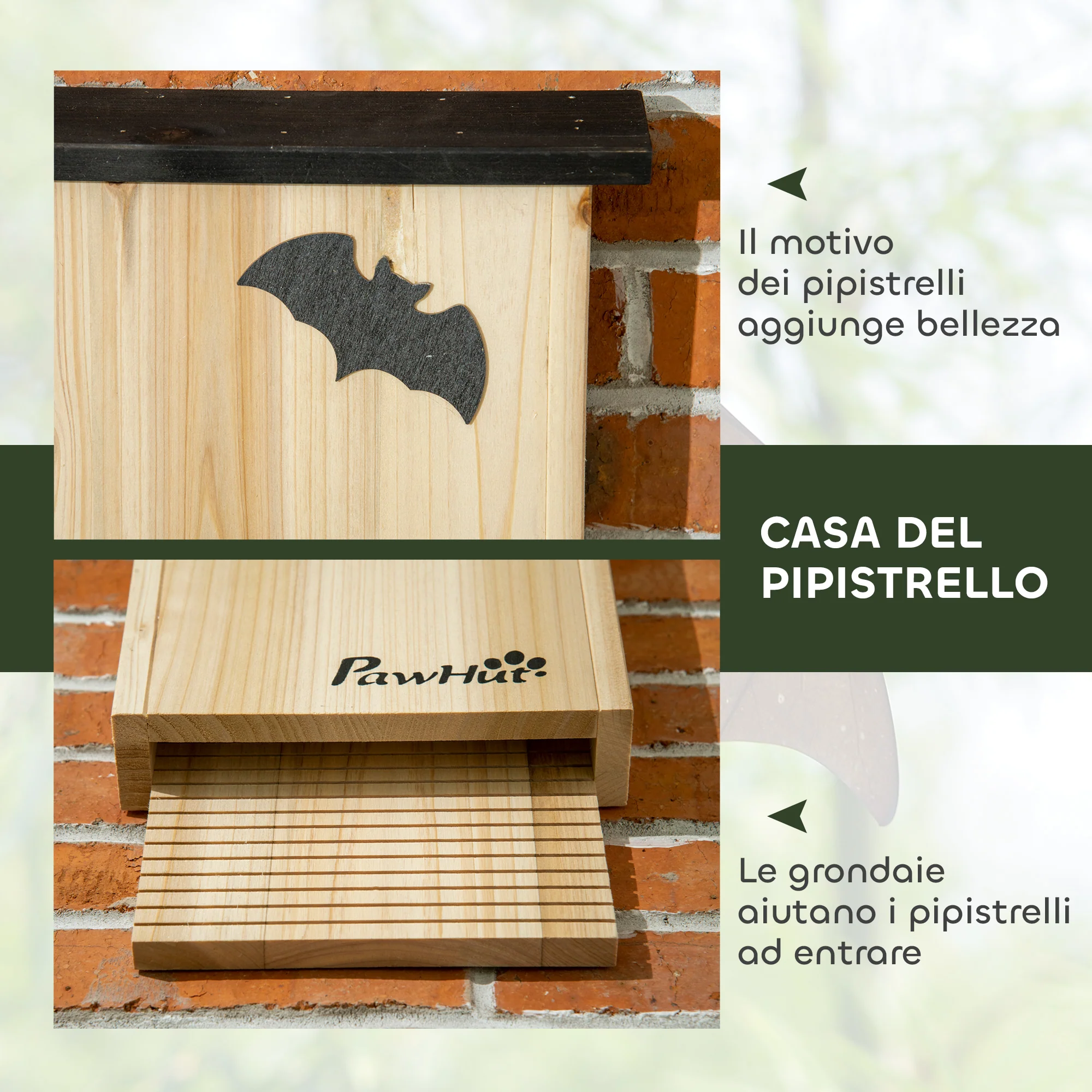 Immagine prodotto 7