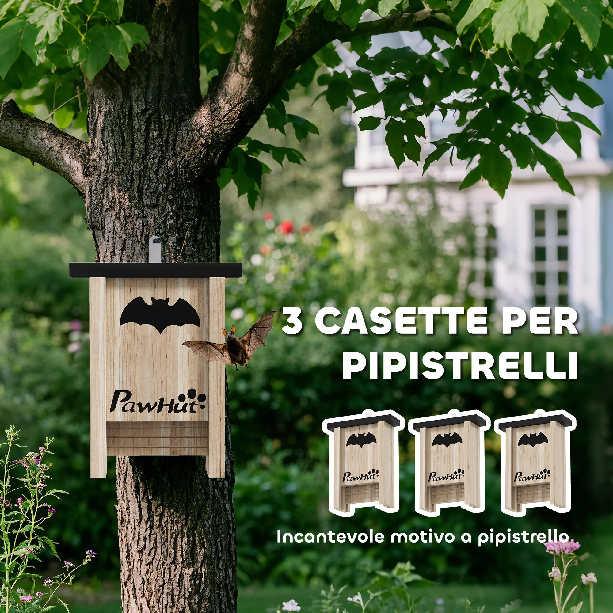 Immagine prodotto 4