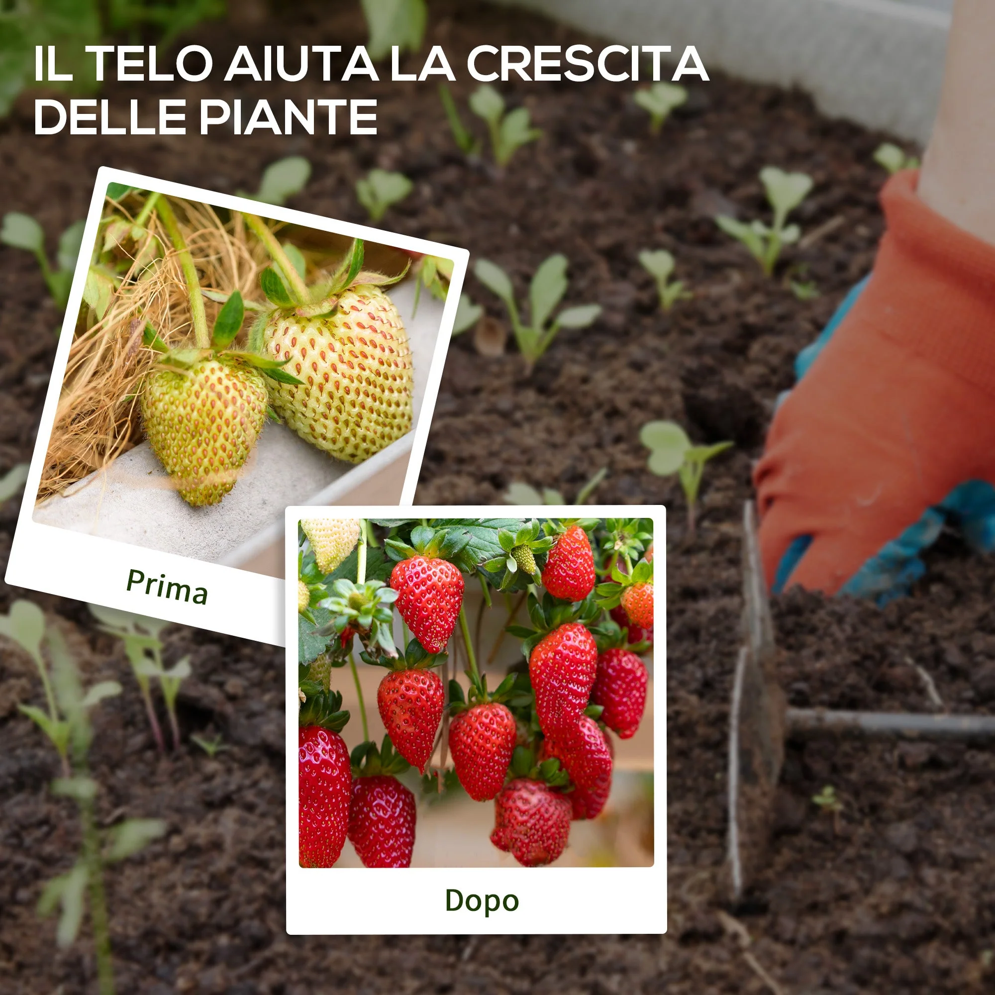 Immagine prodotto 6
