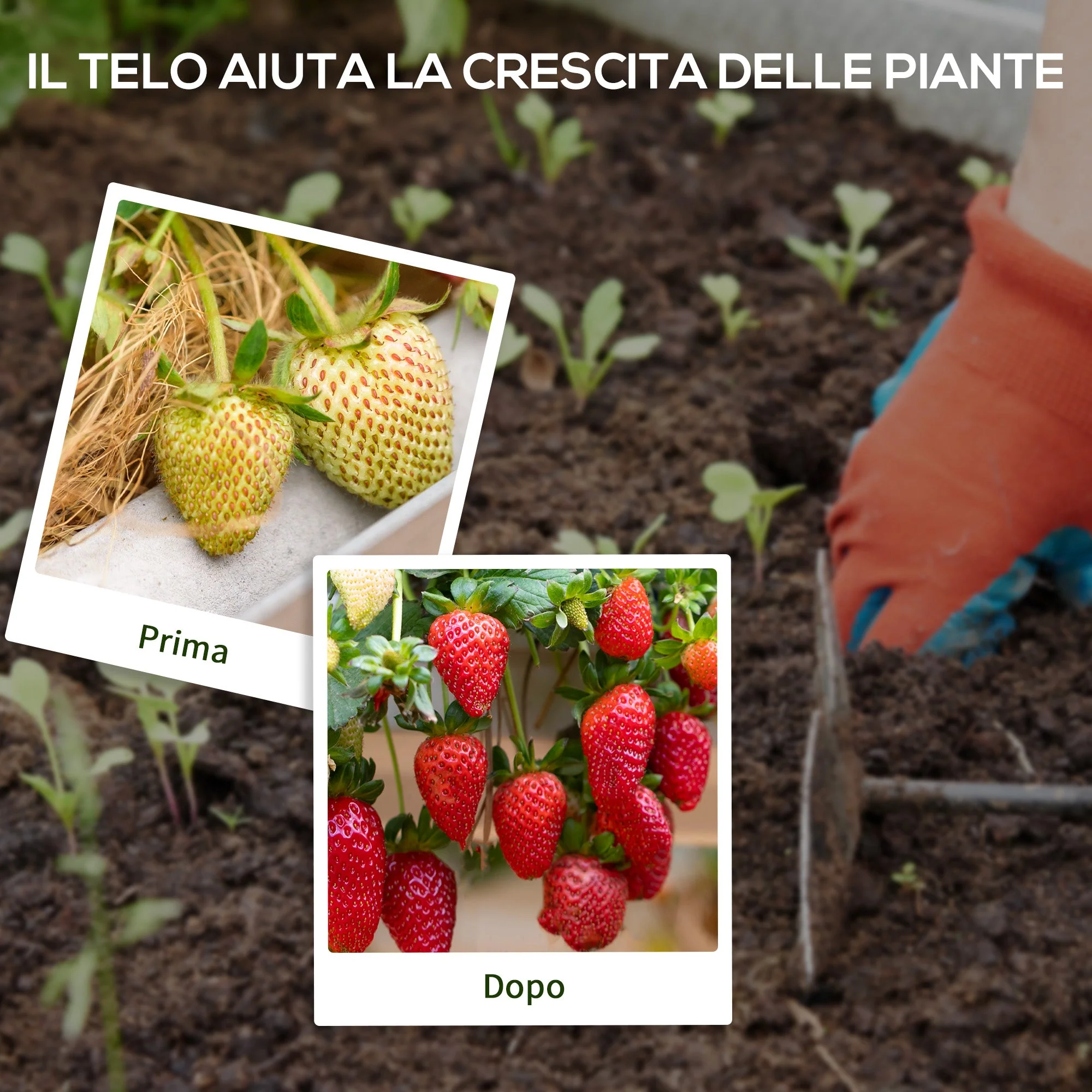 Immagine prodotto 6
