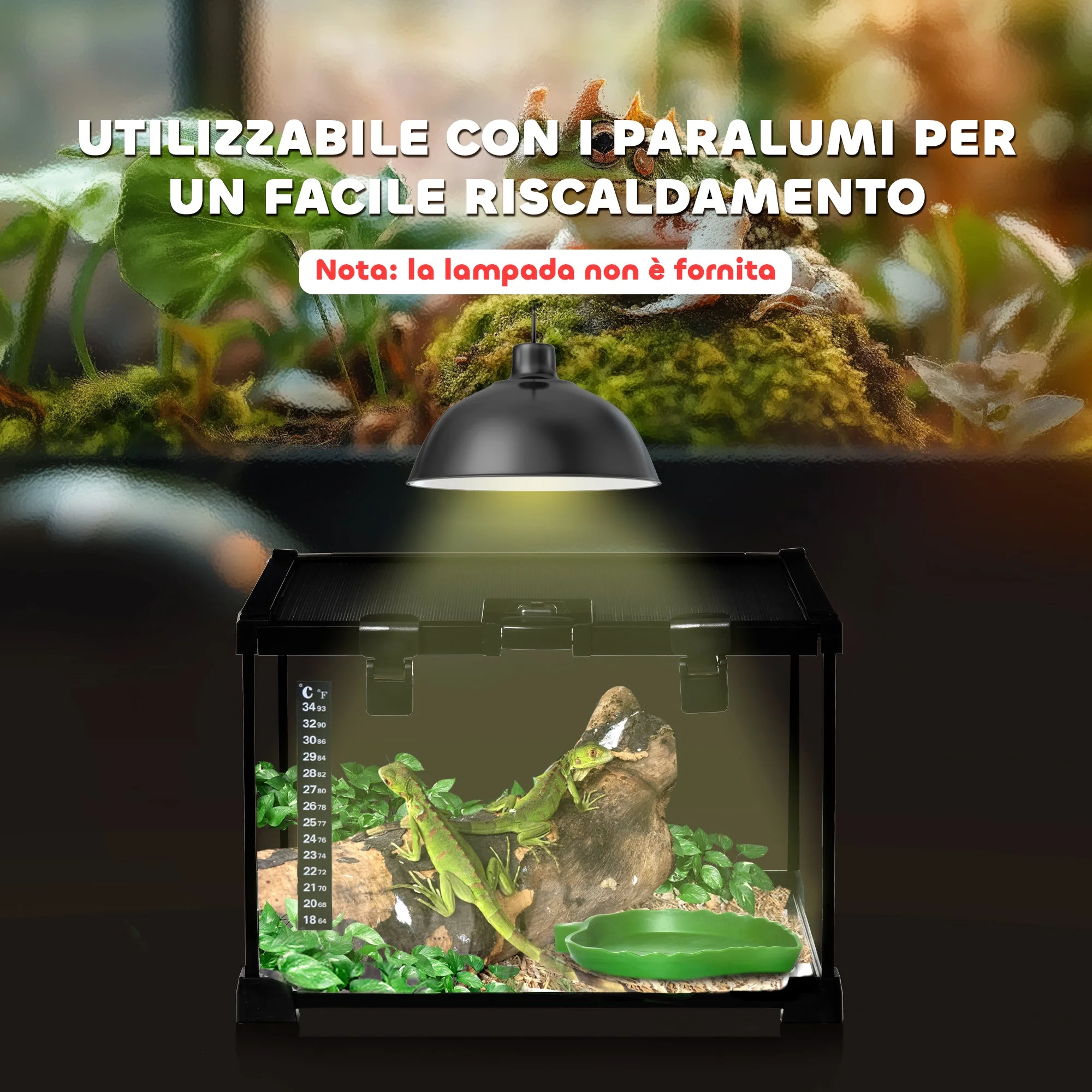 Immagine prodotto 8