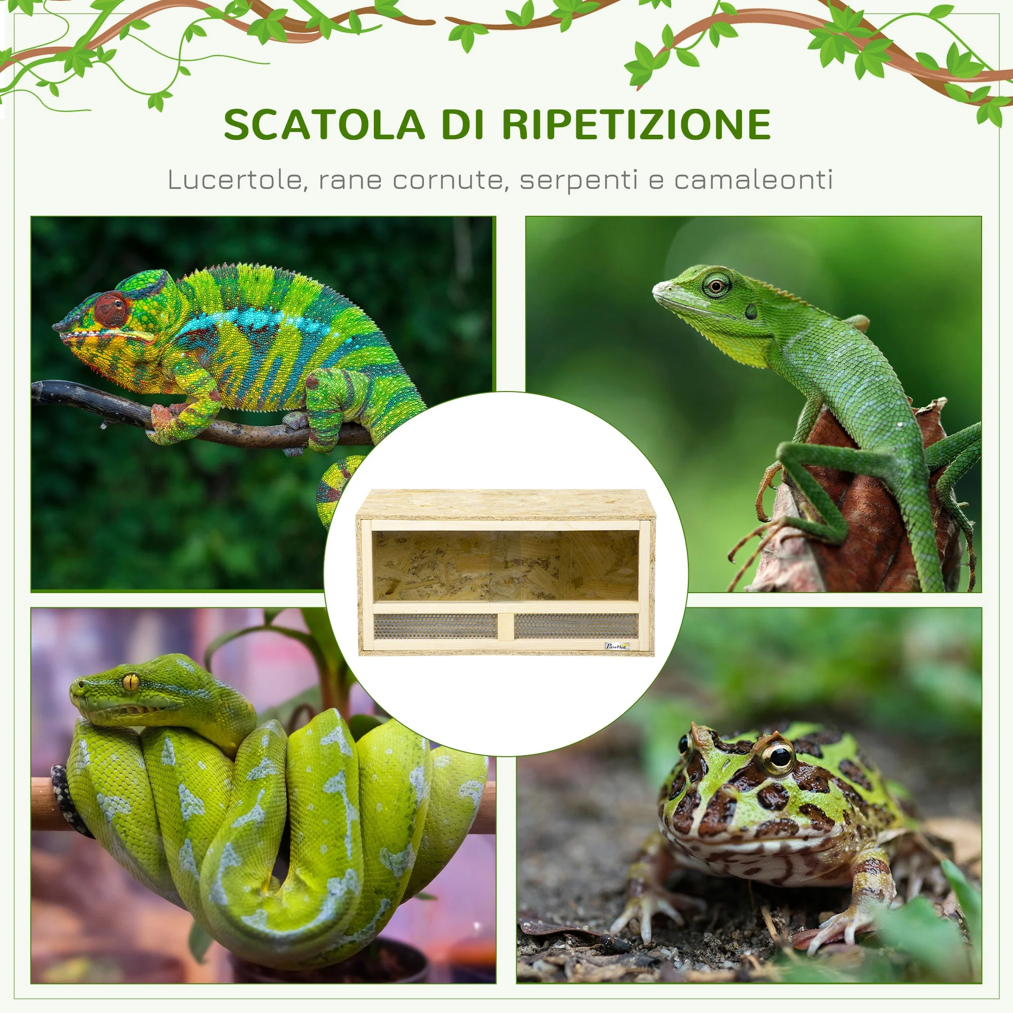 Immagine prodotto 4