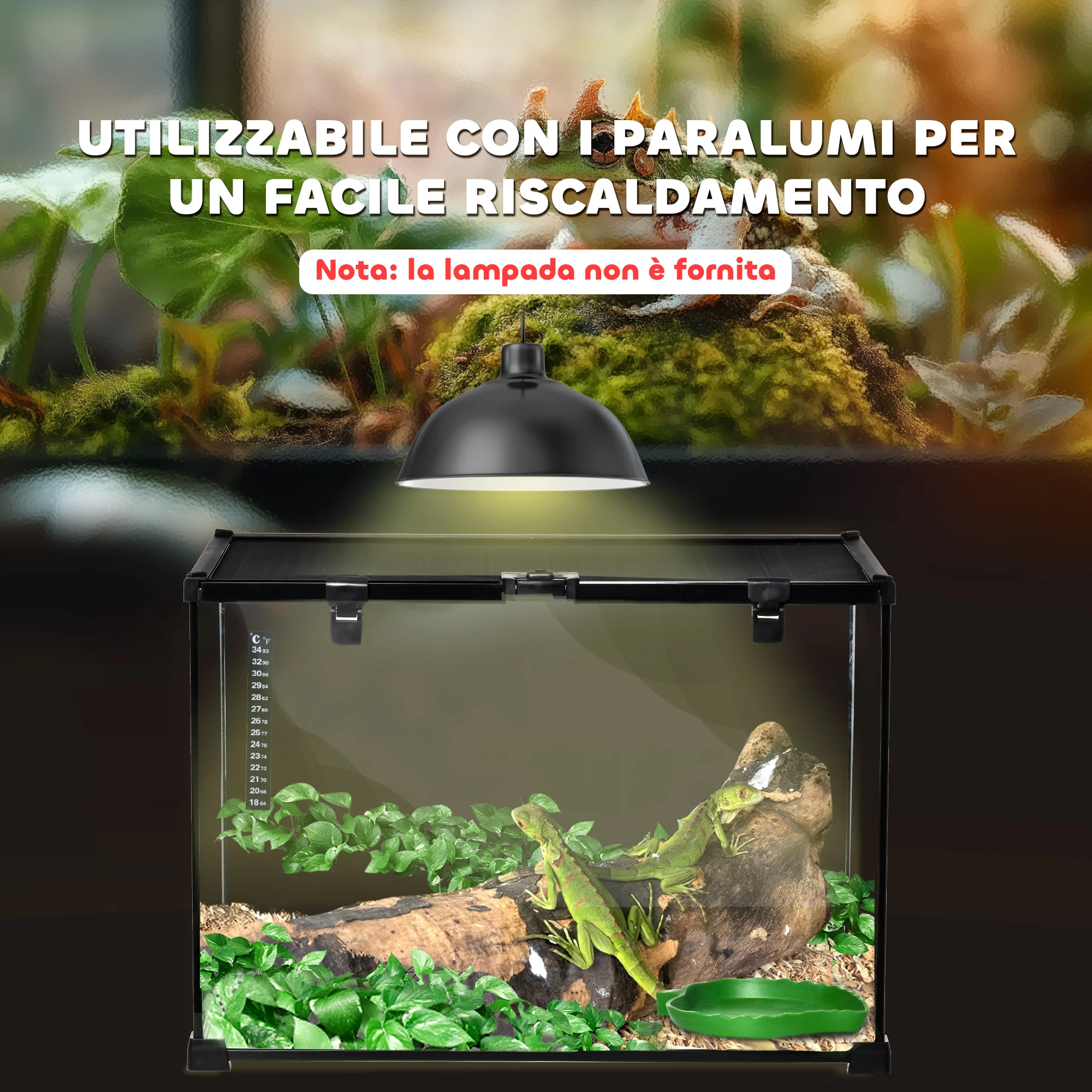 Immagine prodotto 8