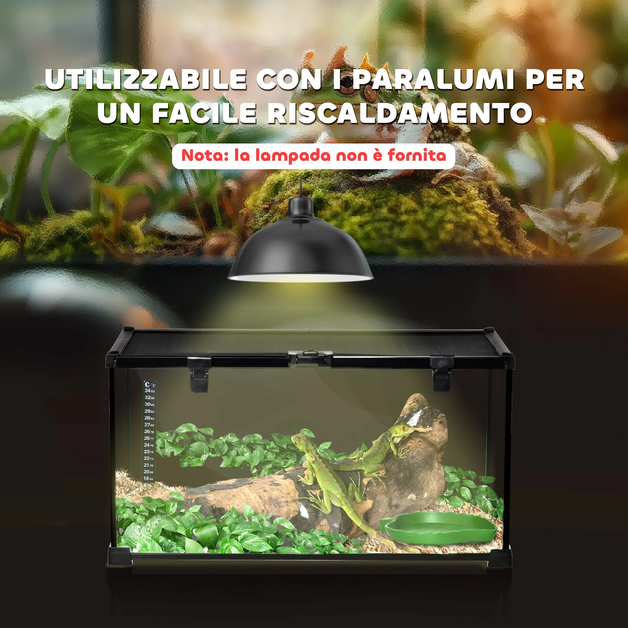 Immagine prodotto 8