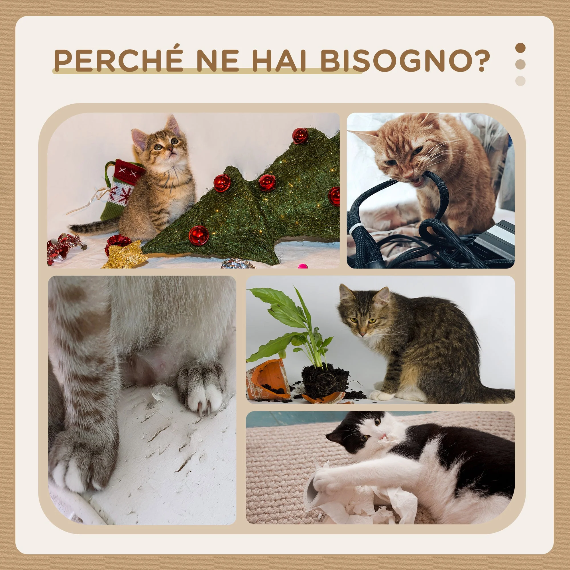 Immagine prodotto 6