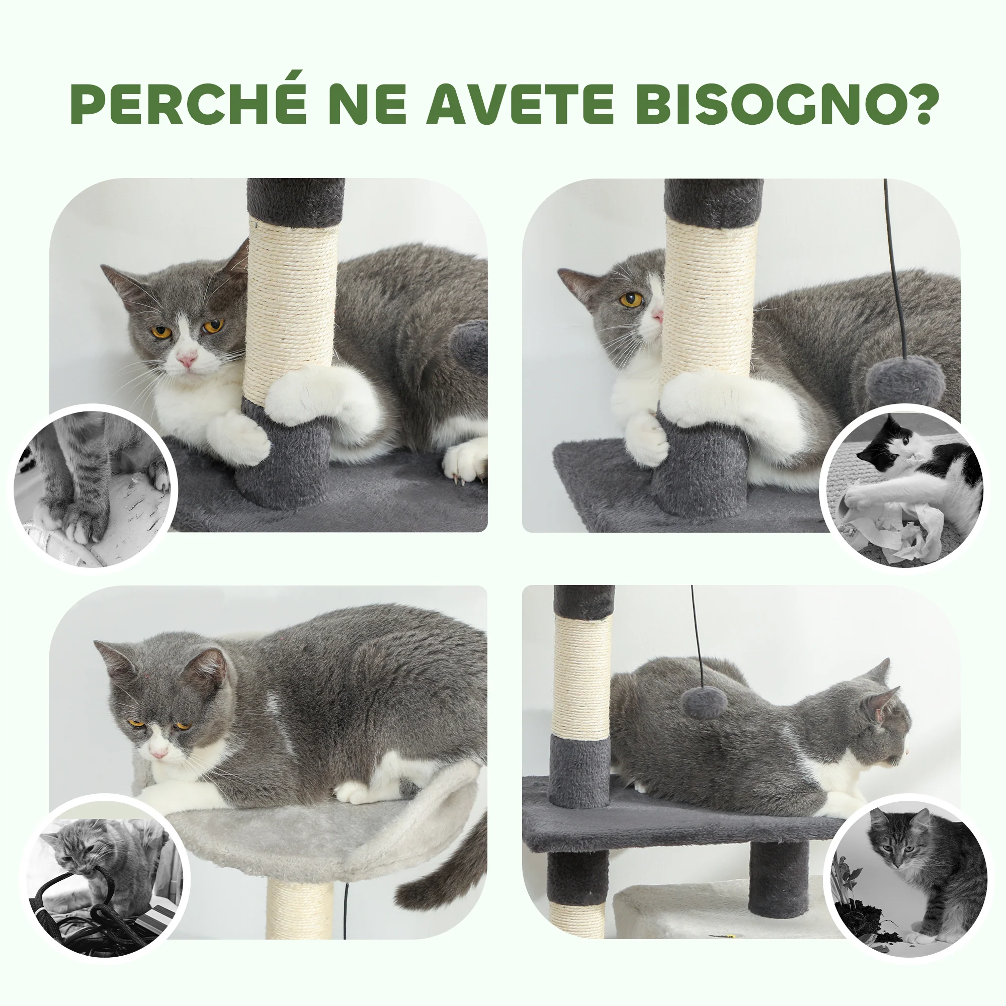 Immagine prodotto 7