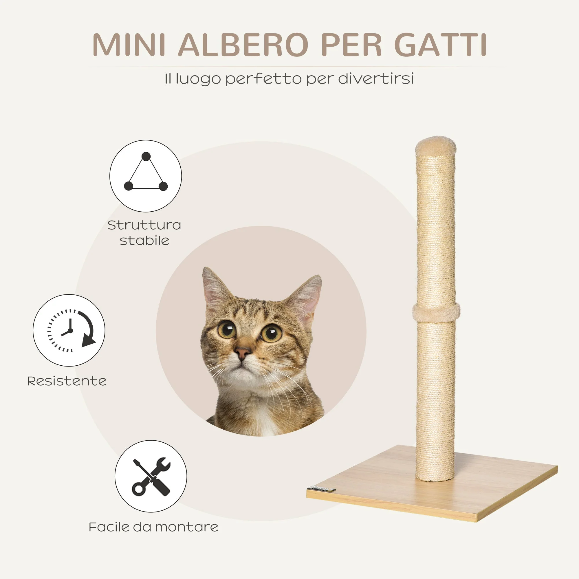 Immagine prodotto 4