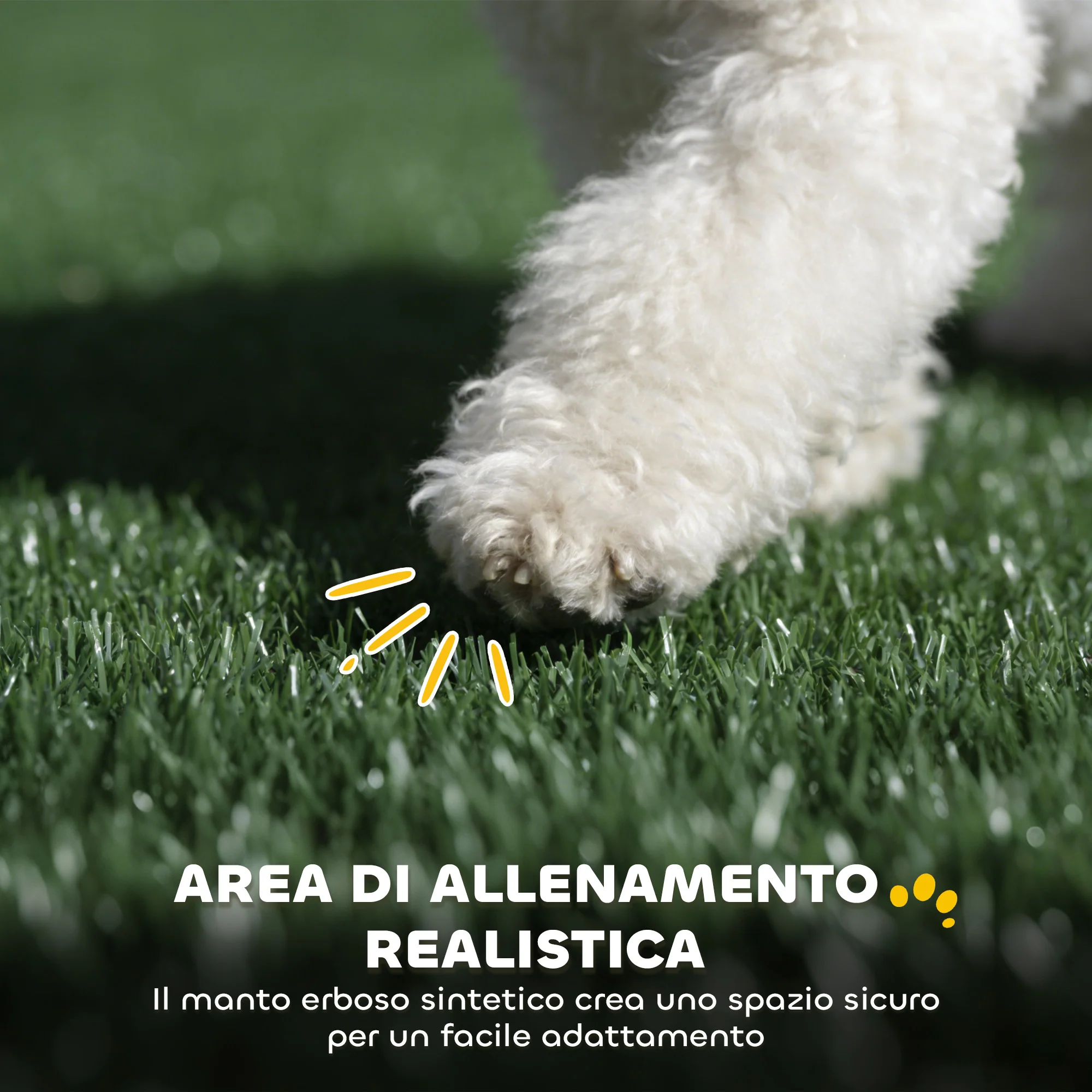 Immagine prodotto 5